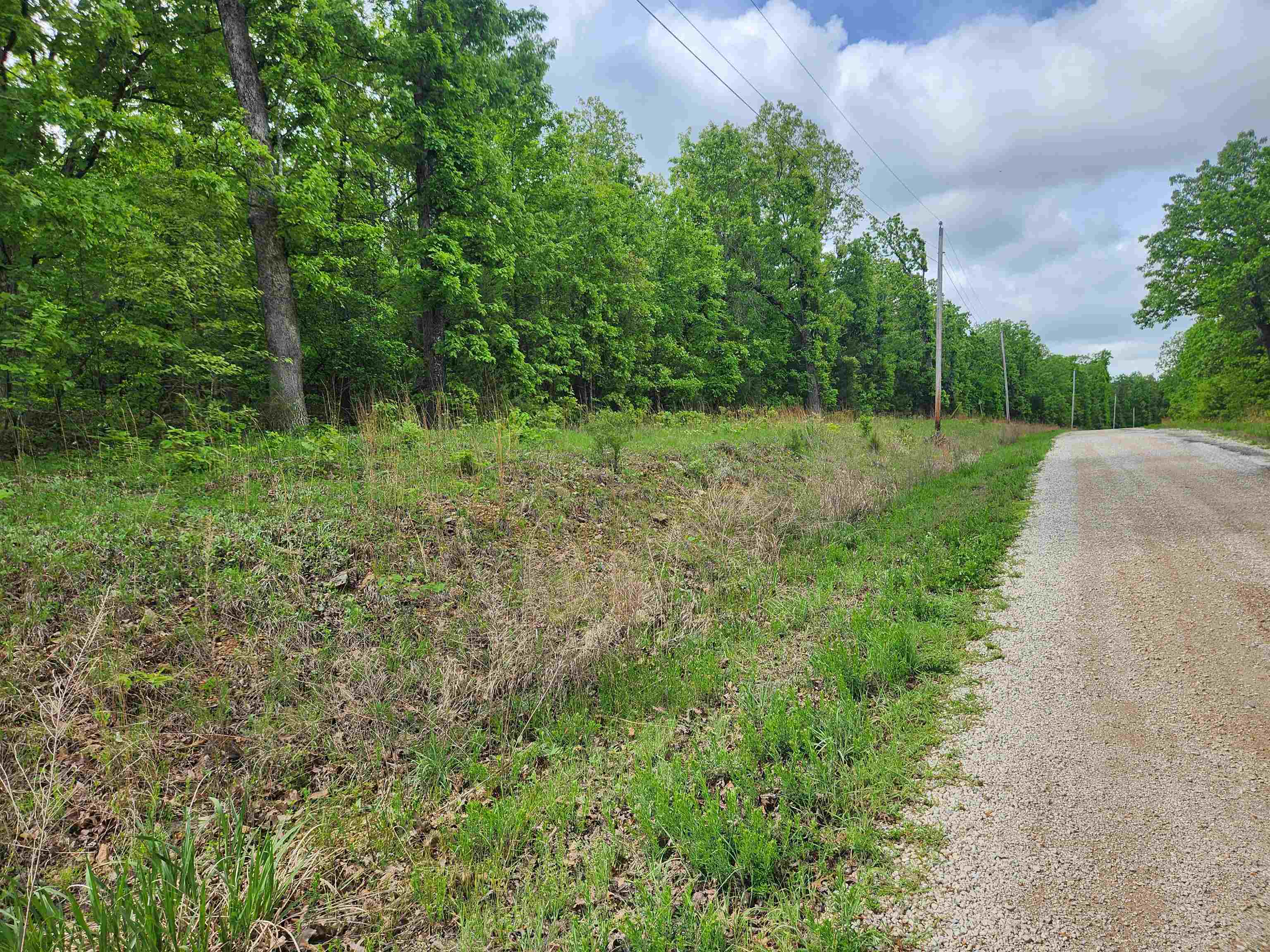 Photo 6 - Vacant Land for sale –   Waubansia   Cherokee Village, AR