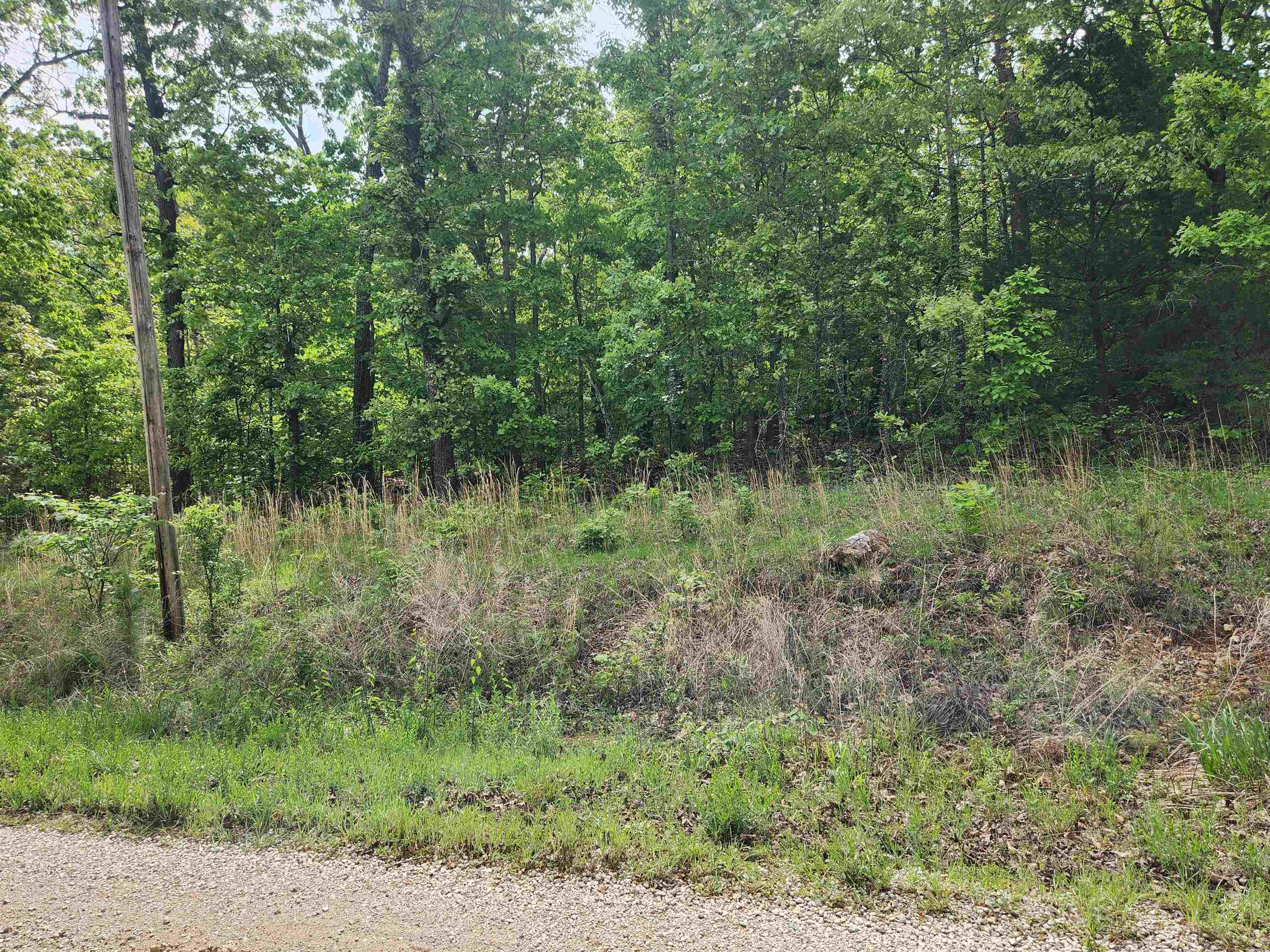 Photo 7 - Vacant Land for sale –   Waubansia   Cherokee Village, AR