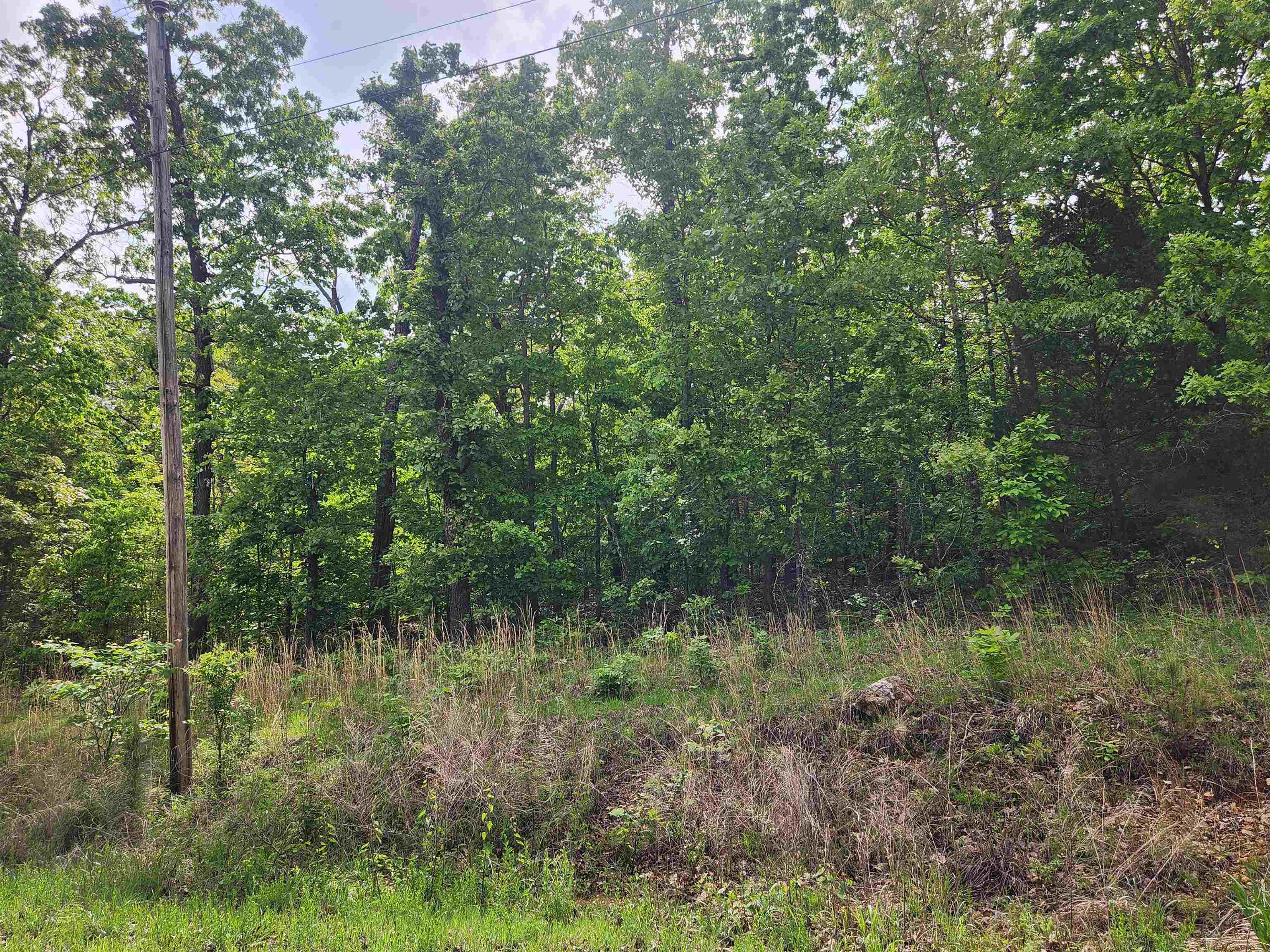 Photo 8 - Vacant Land for sale –   Waubansia   Cherokee Village, AR