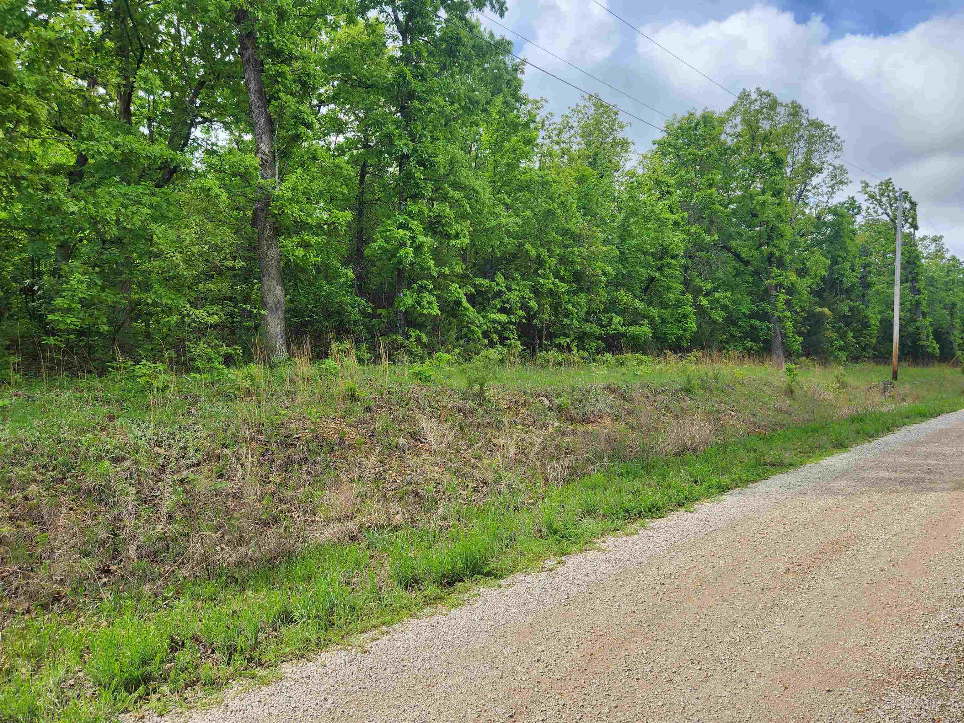 Photo 9 - Vacant Land for sale –   Waubansia   Cherokee Village, AR