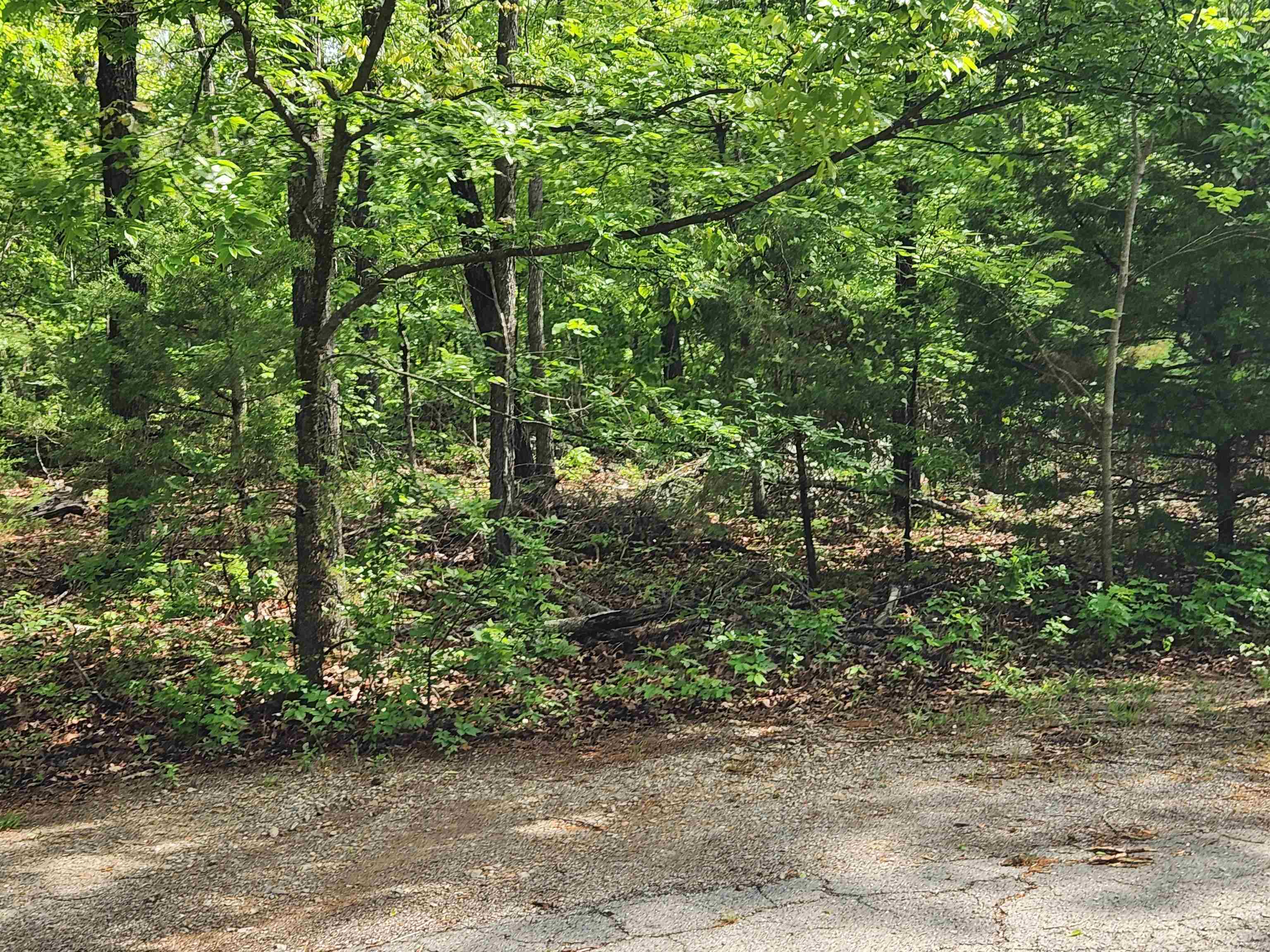 Vacant Land for sale –   Paiute   Cherokee Village, AR