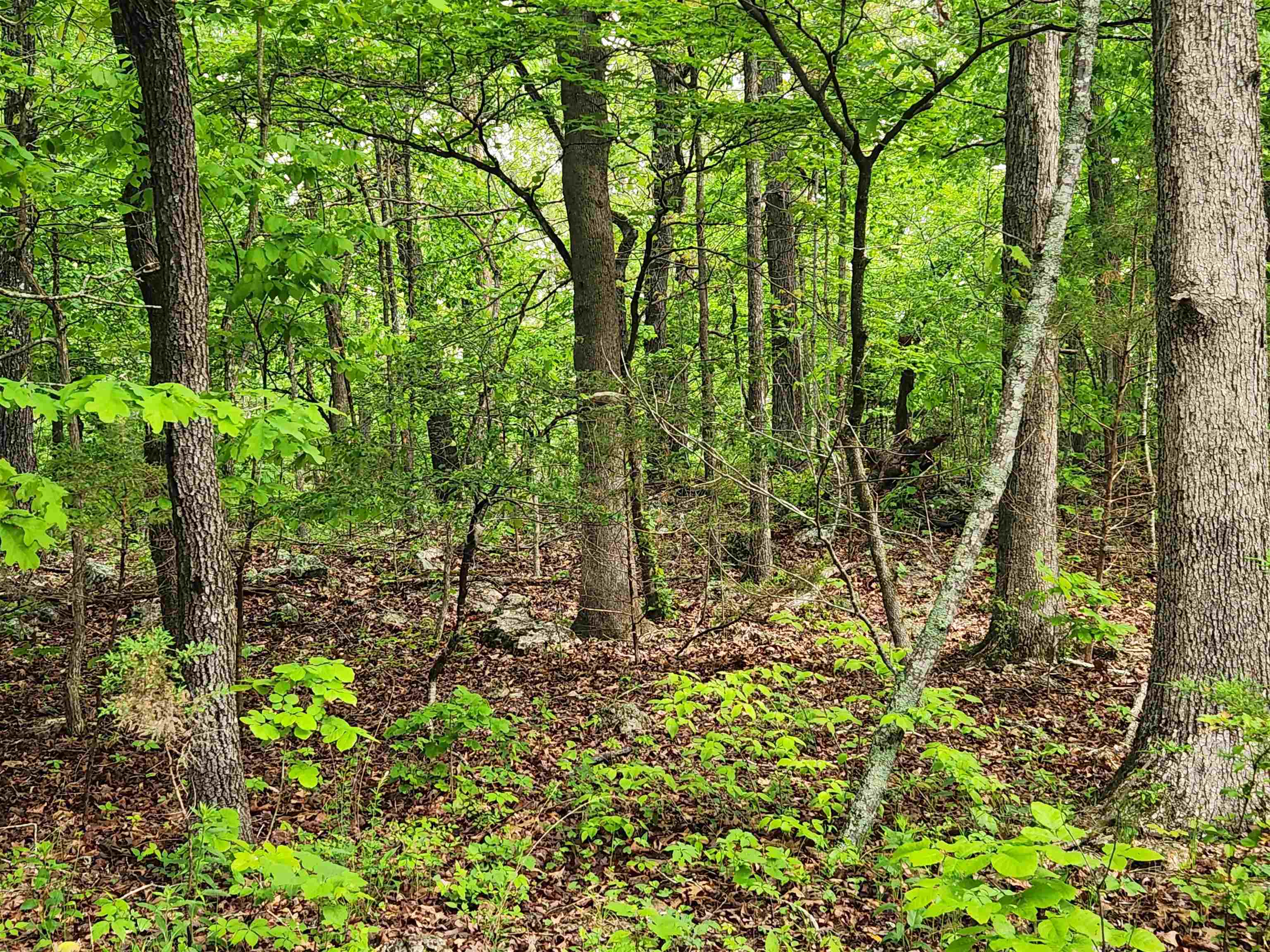 Photo 11 - Vacant Land for sale –   Paiute   Cherokee Village, AR
