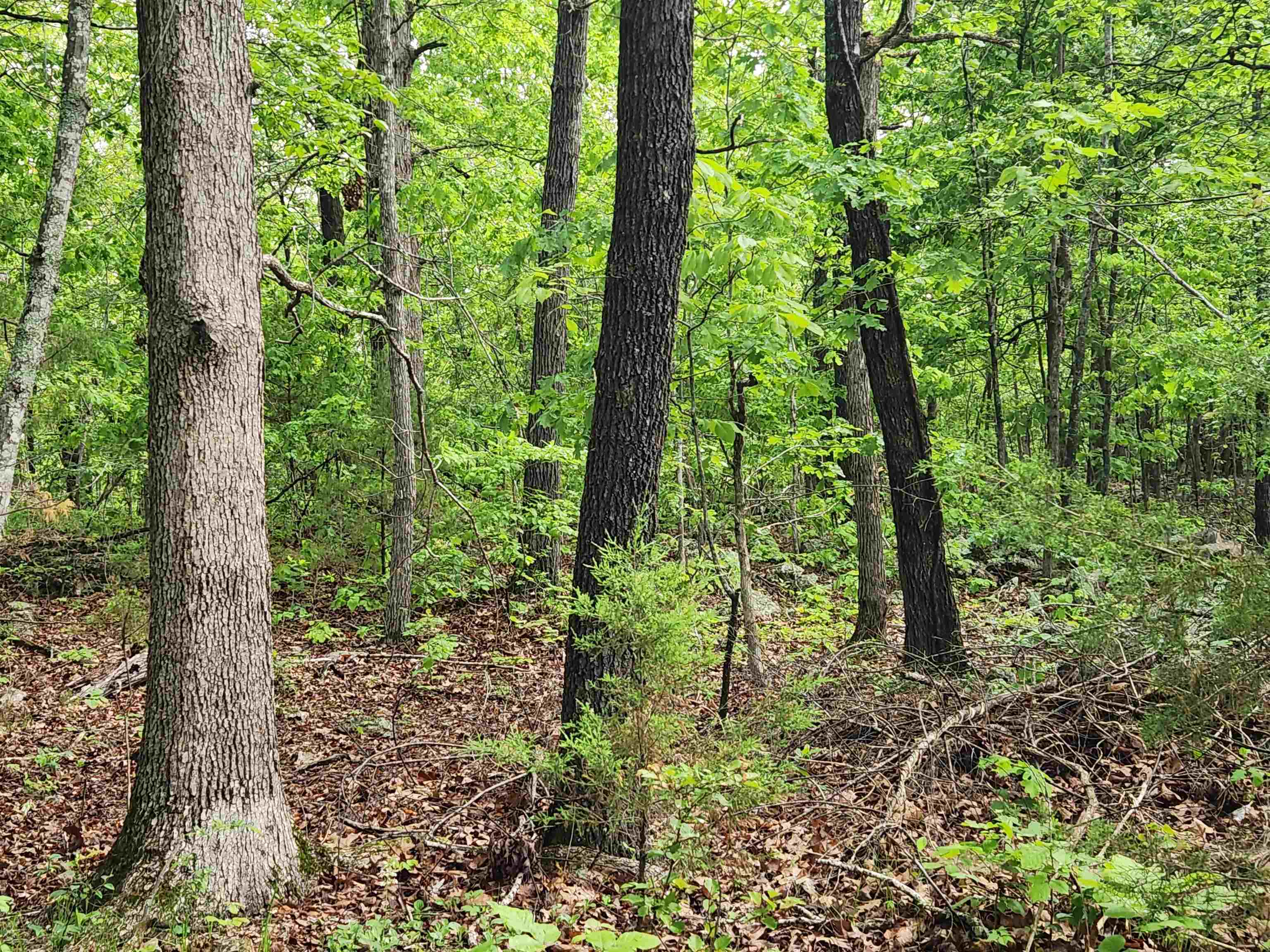 Photo 12 - Vacant Land for sale –   Paiute   Cherokee Village, AR