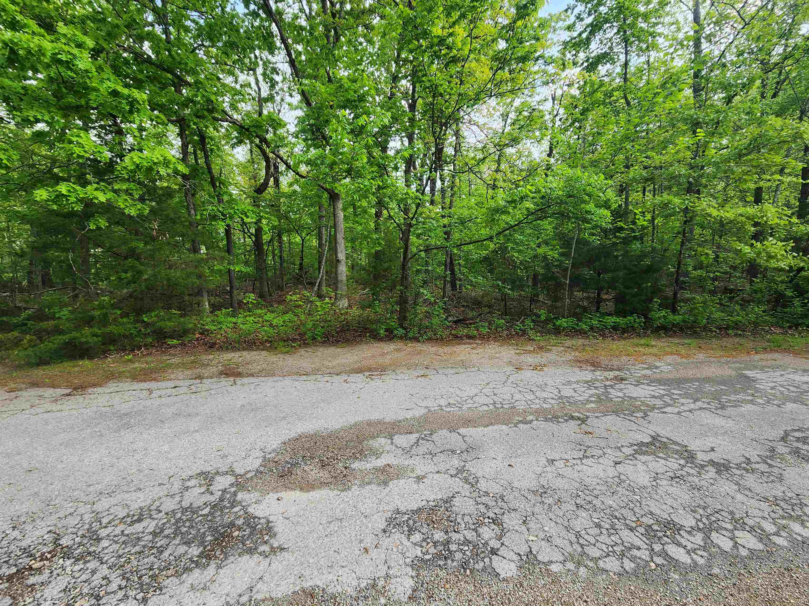 Photo 13 - Vacant Land for sale –   Paiute   Cherokee Village, AR
