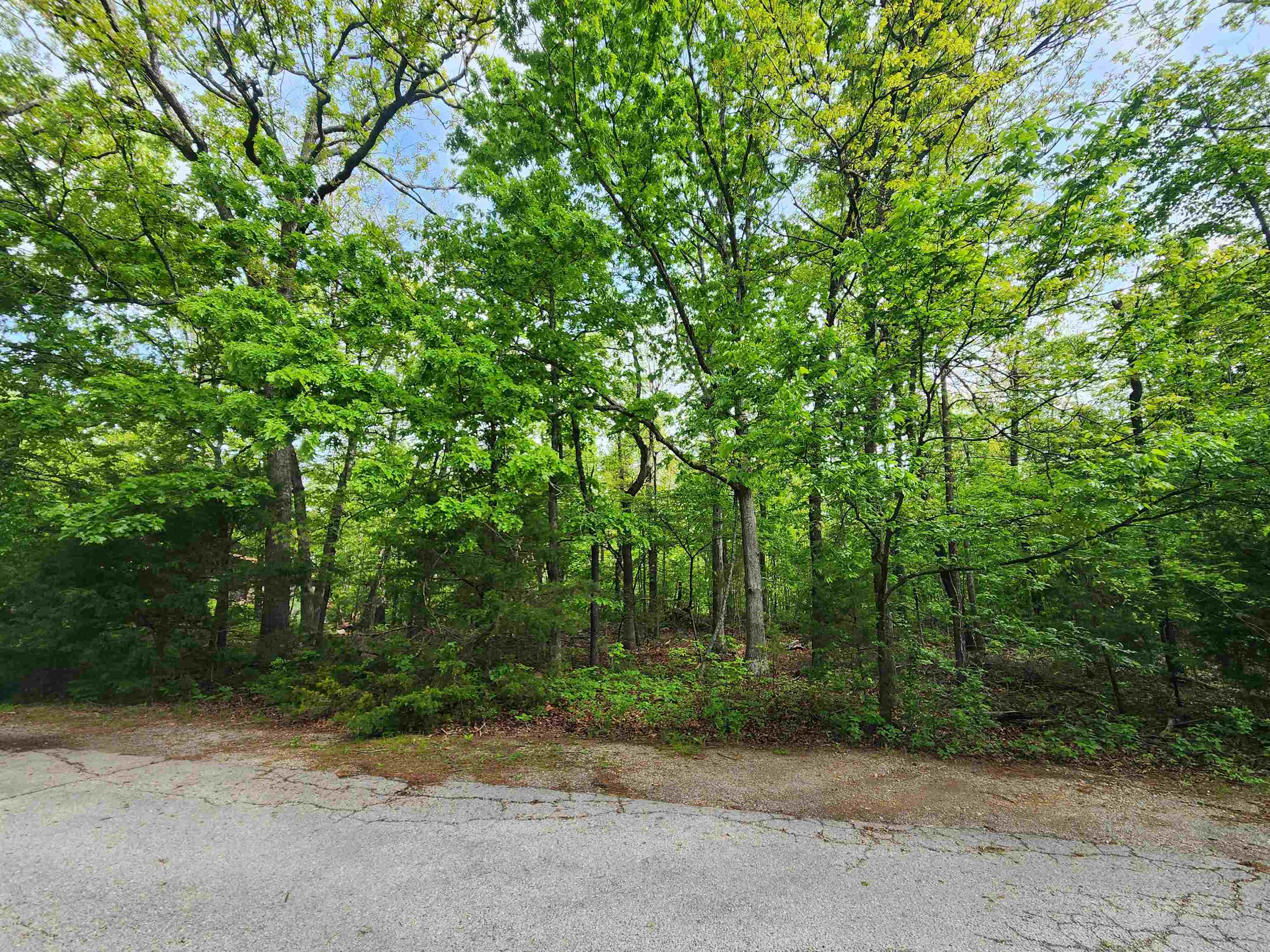 Photo 16 - Vacant Land for sale –   Paiute   Cherokee Village, AR