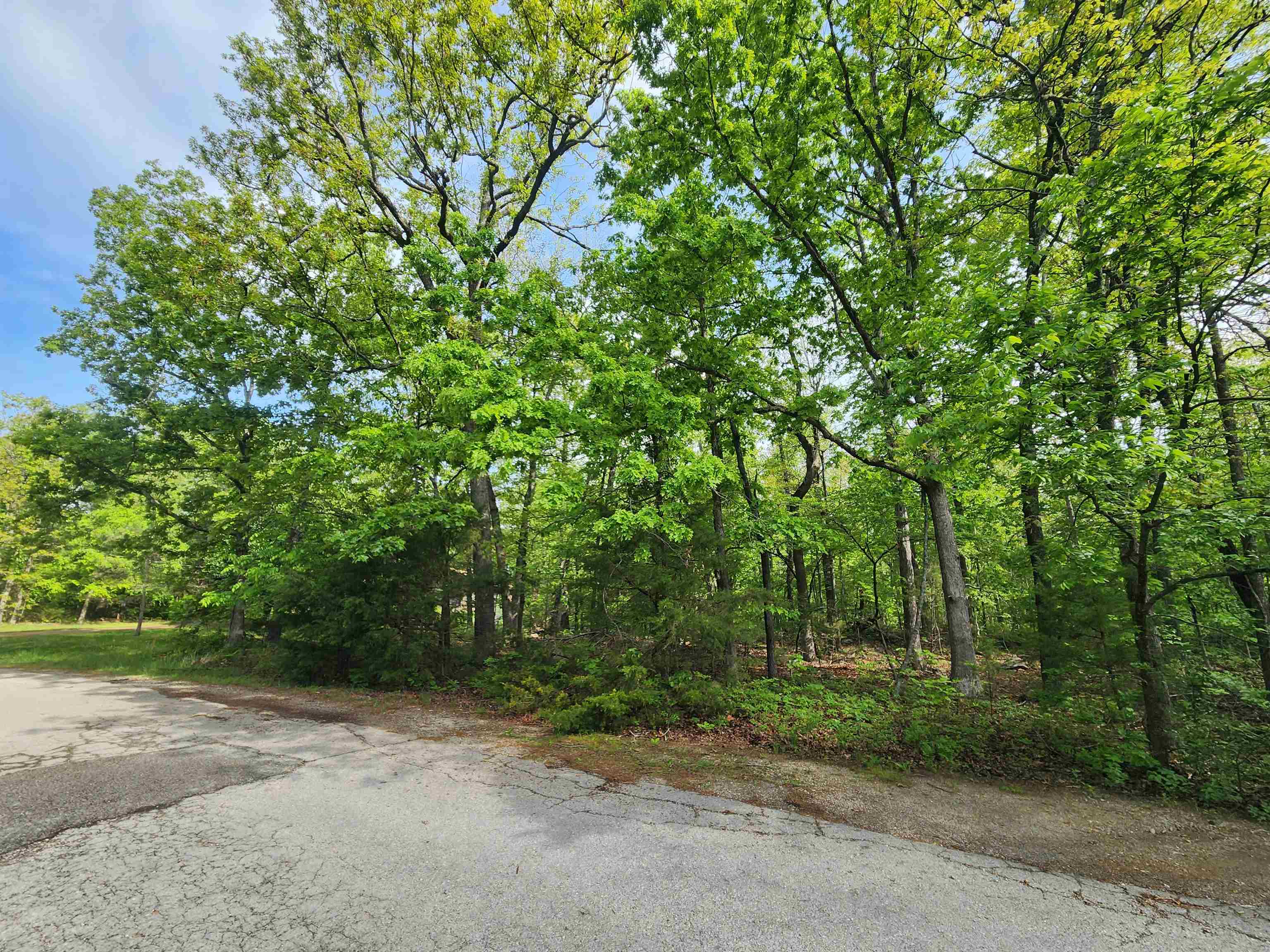 Photo 17 - Vacant Land for sale –   Paiute   Cherokee Village, AR