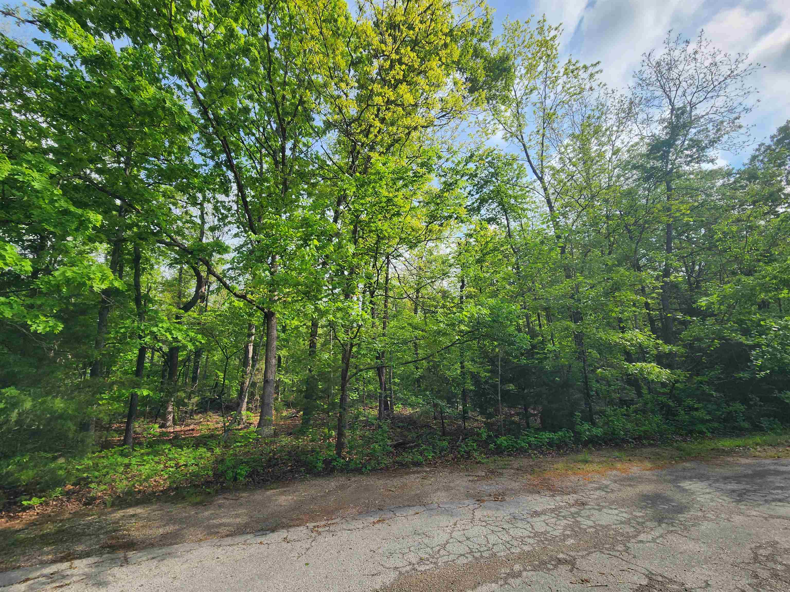 Photo 18 - Vacant Land for sale –   Paiute   Cherokee Village, AR
