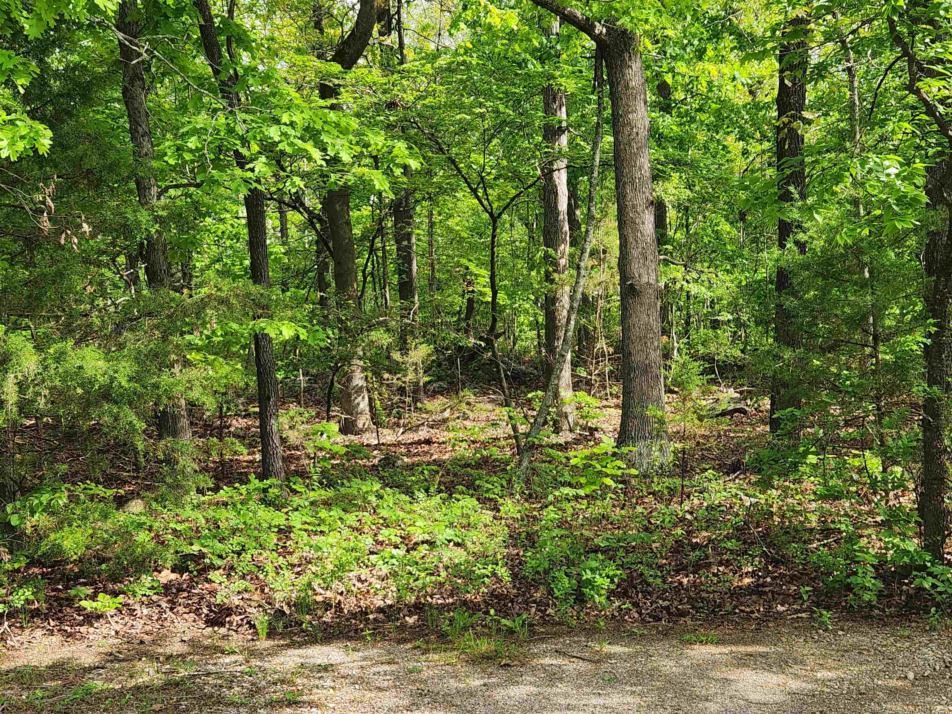 Photo 19 - Vacant Land for sale –   Paiute   Cherokee Village, AR