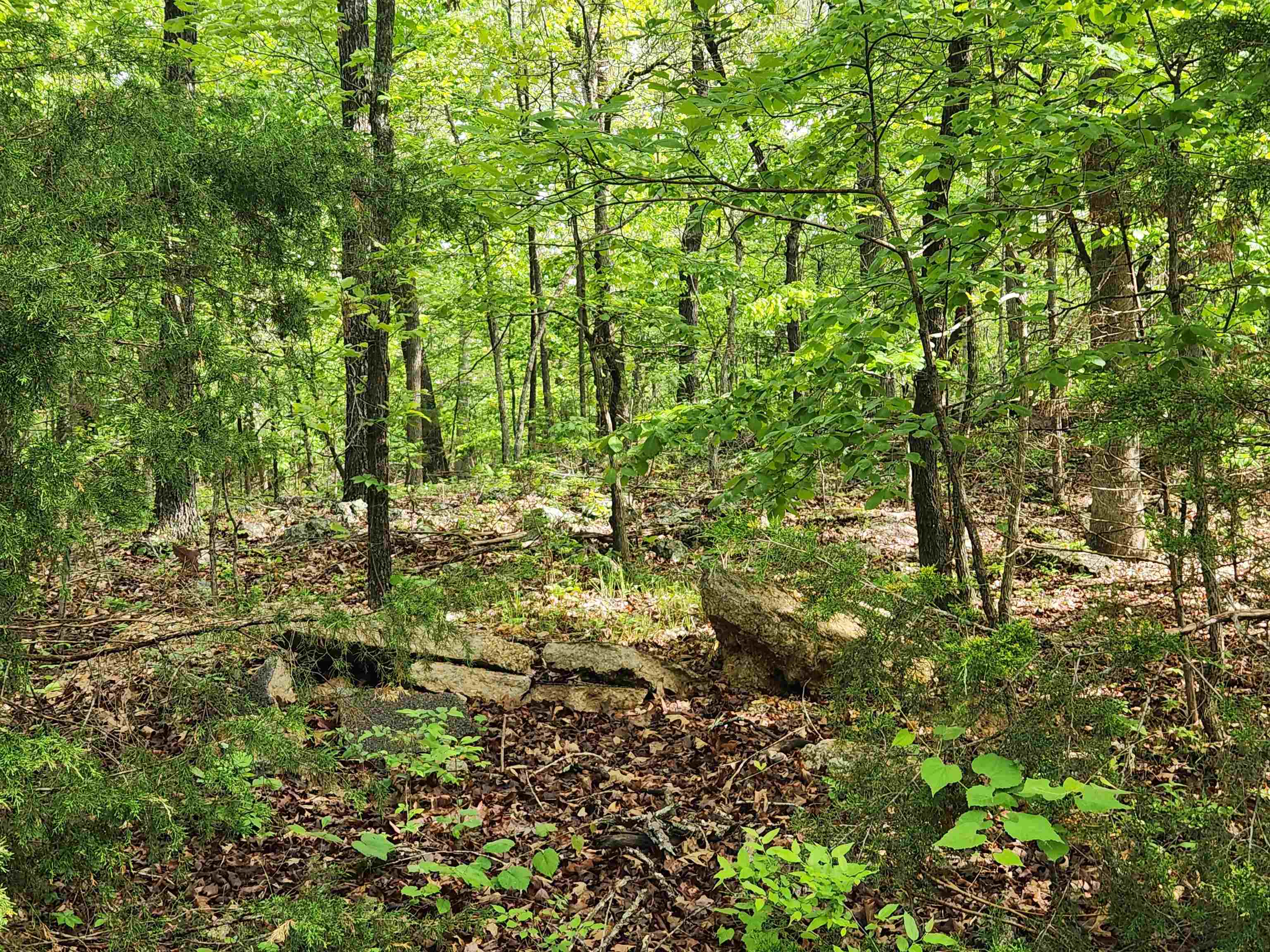 Photo 20 - Vacant Land for sale –   Paiute   Cherokee Village, AR