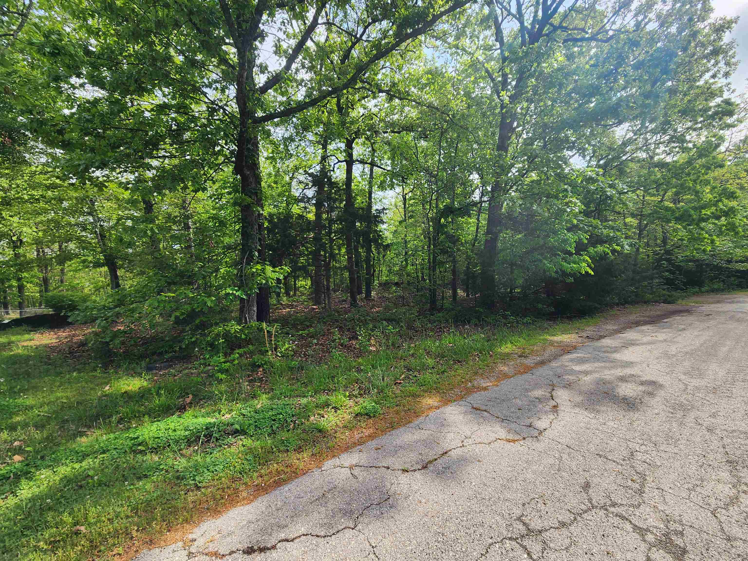 Photo 6 - Vacant Land for sale –   Paiute   Cherokee Village, AR