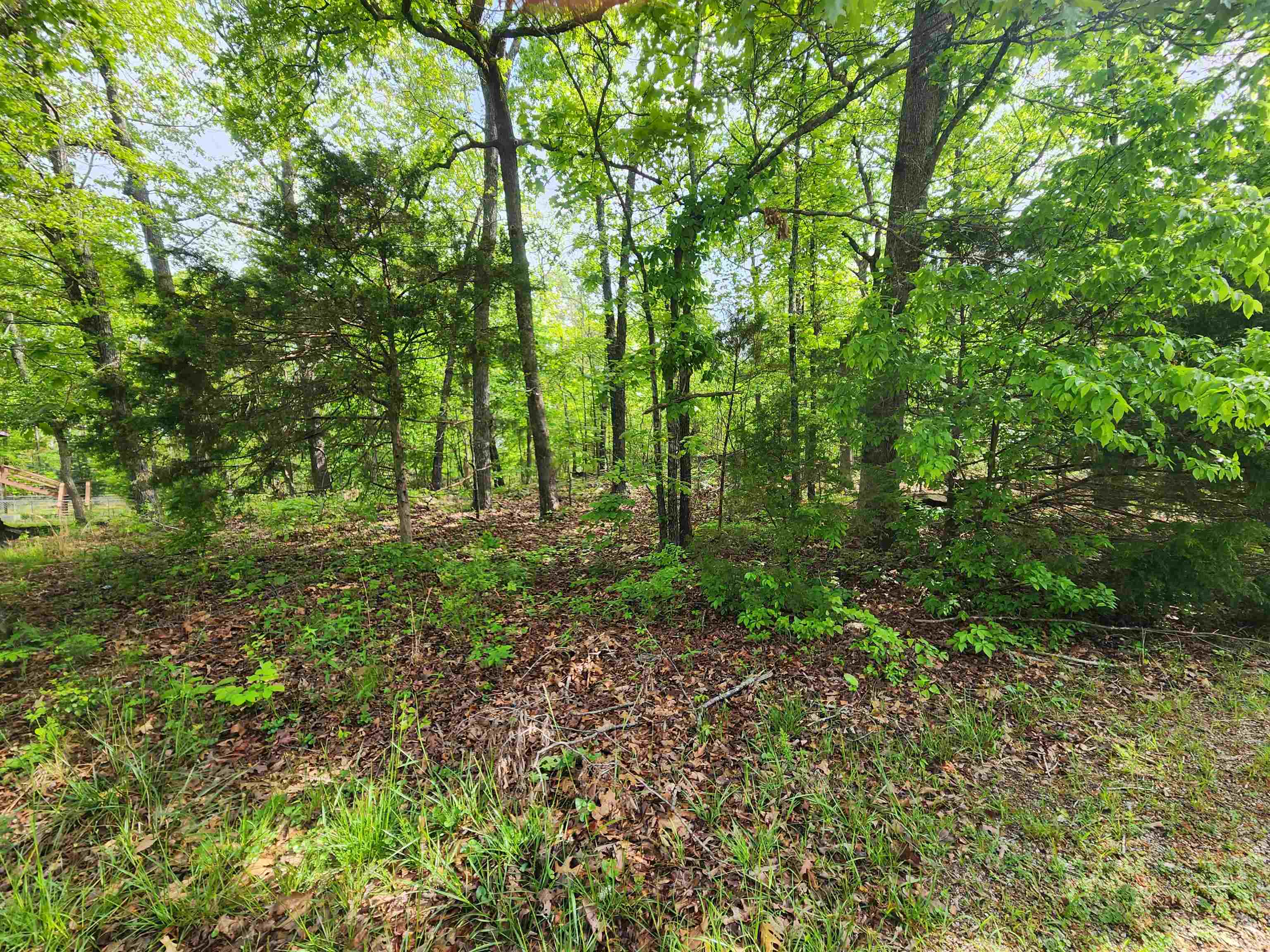 Photo 7 - Vacant Land for sale –   Paiute   Cherokee Village, AR