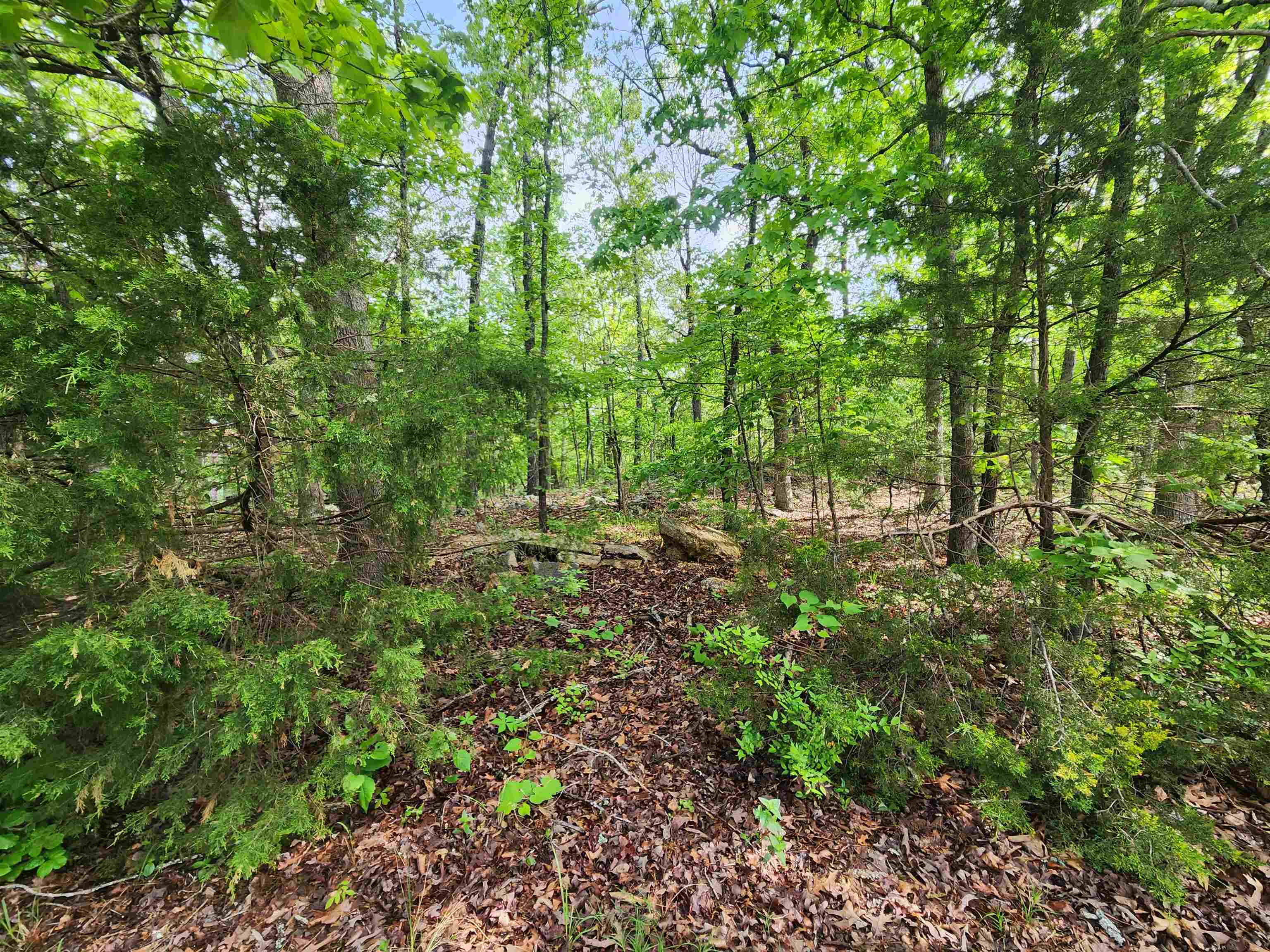 Photo 9 - Vacant Land for sale –   Paiute   Cherokee Village, AR