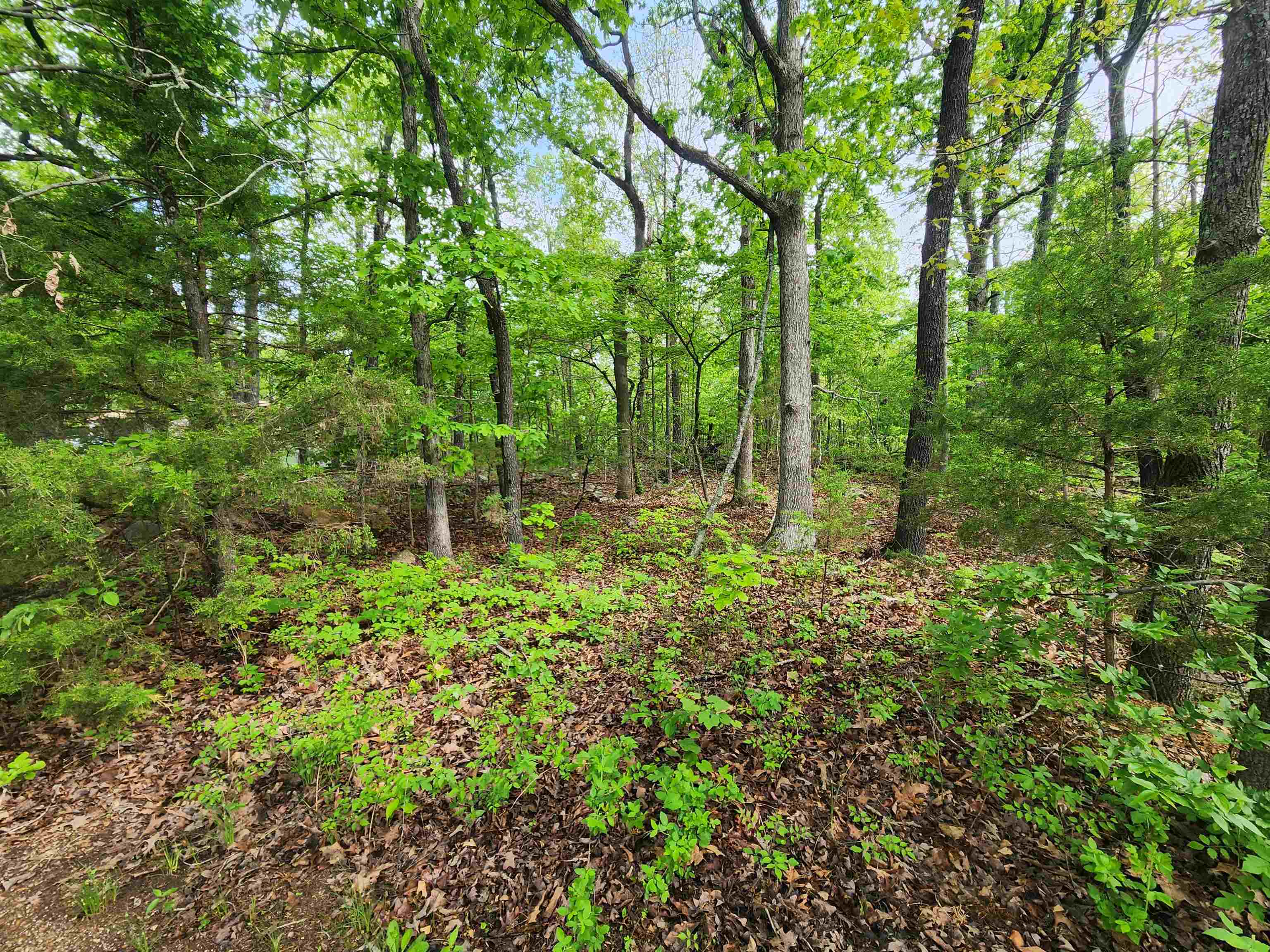 Photo 10 - Vacant Land for sale –   Paiute   Cherokee Village, AR