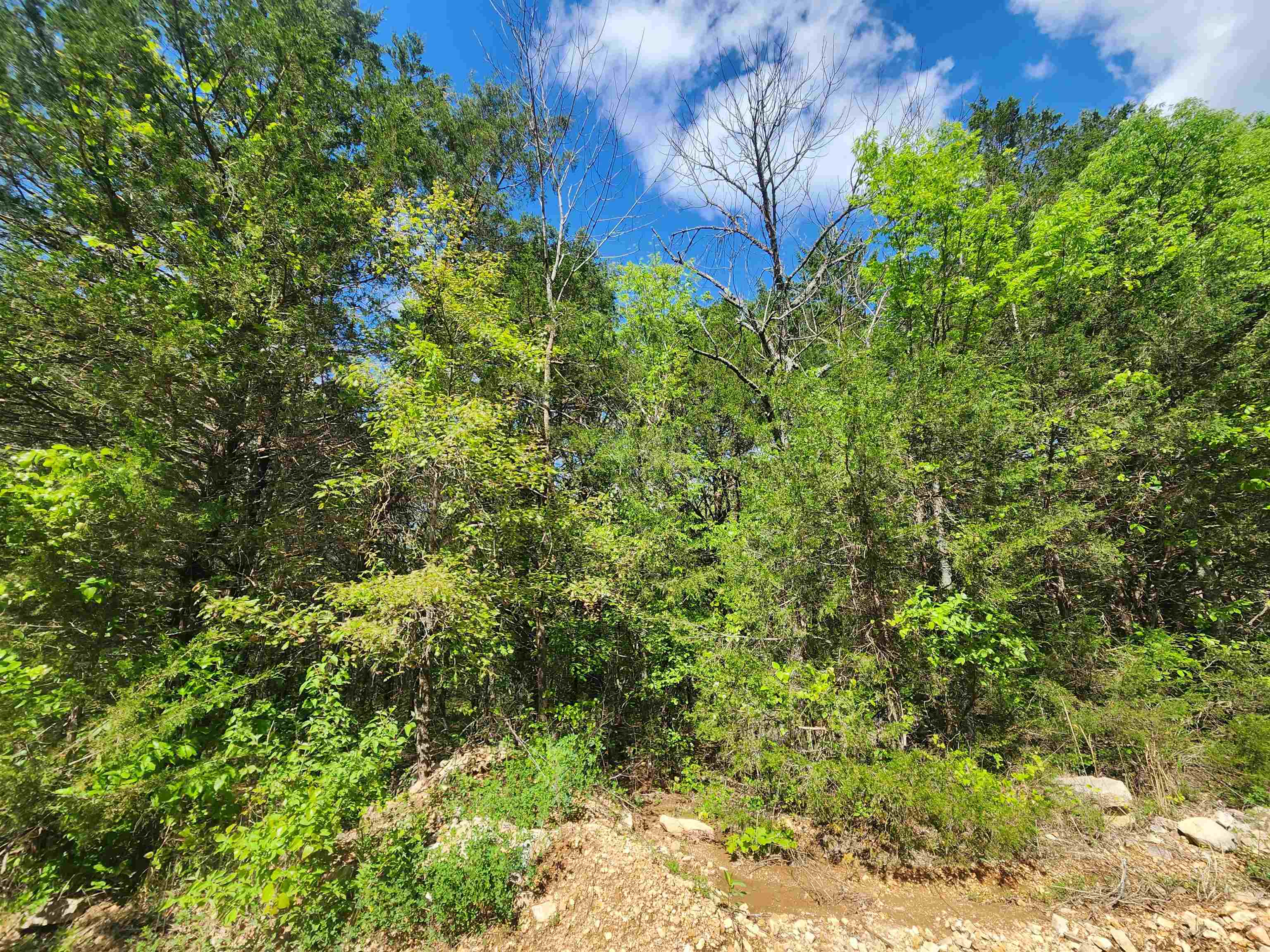 Photo 11 - Vacant Land for sale –   Strawberry Valley   Ash Flat, AR