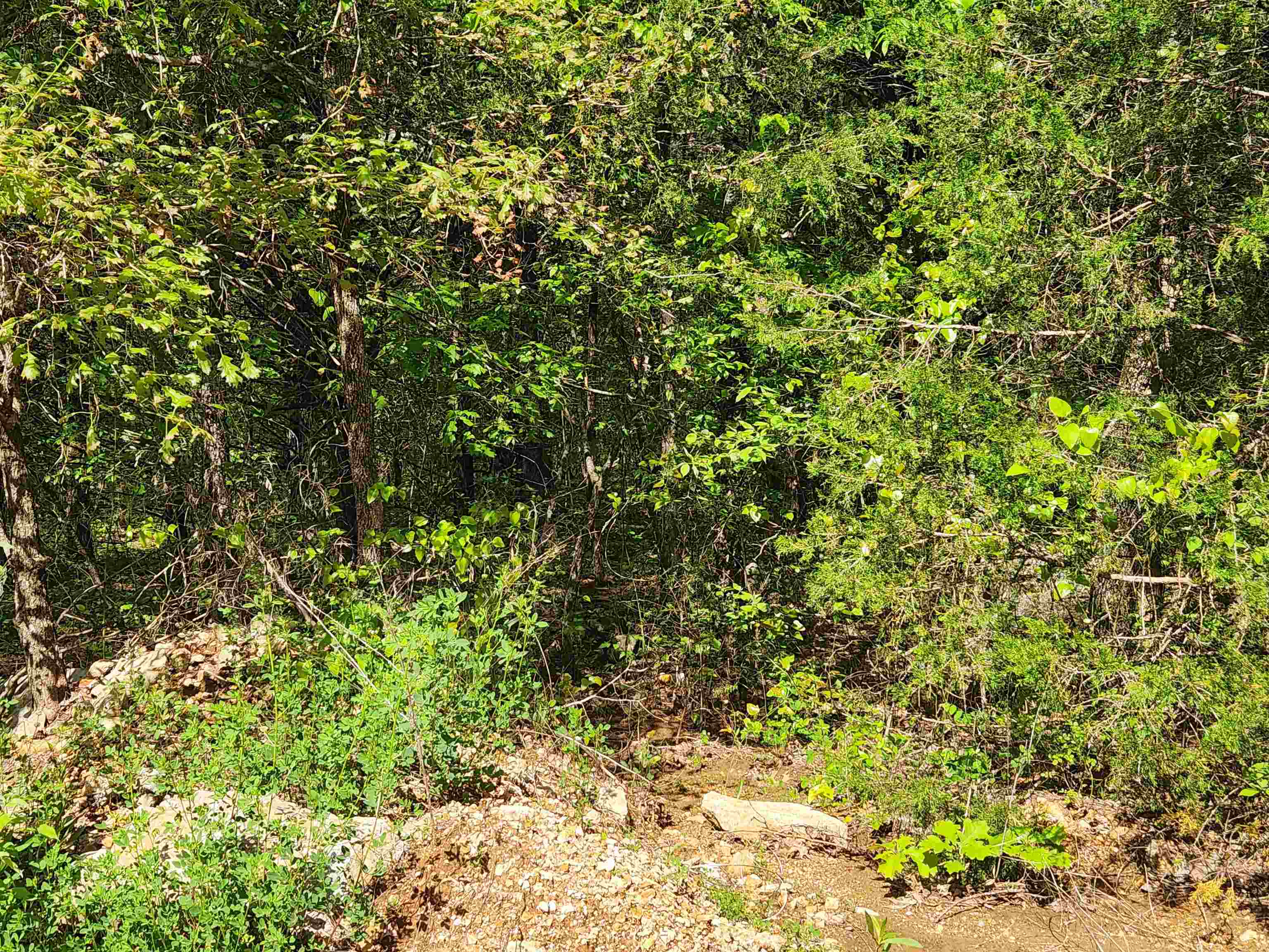 Photo 12 - Vacant Land for sale –   Strawberry Valley   Ash Flat, AR