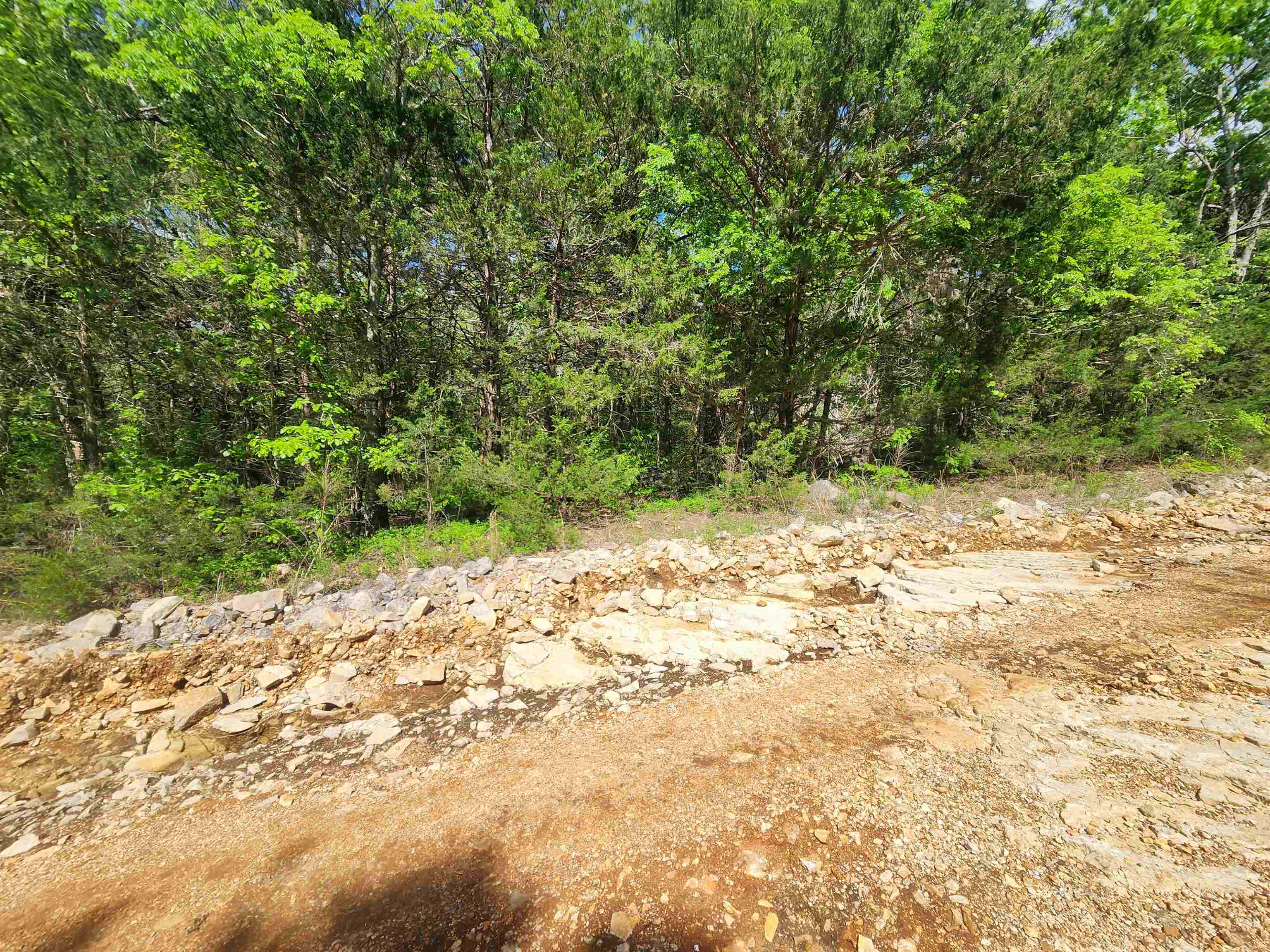 Photo 13 - Vacant Land for sale –   Strawberry Valley   Ash Flat, AR