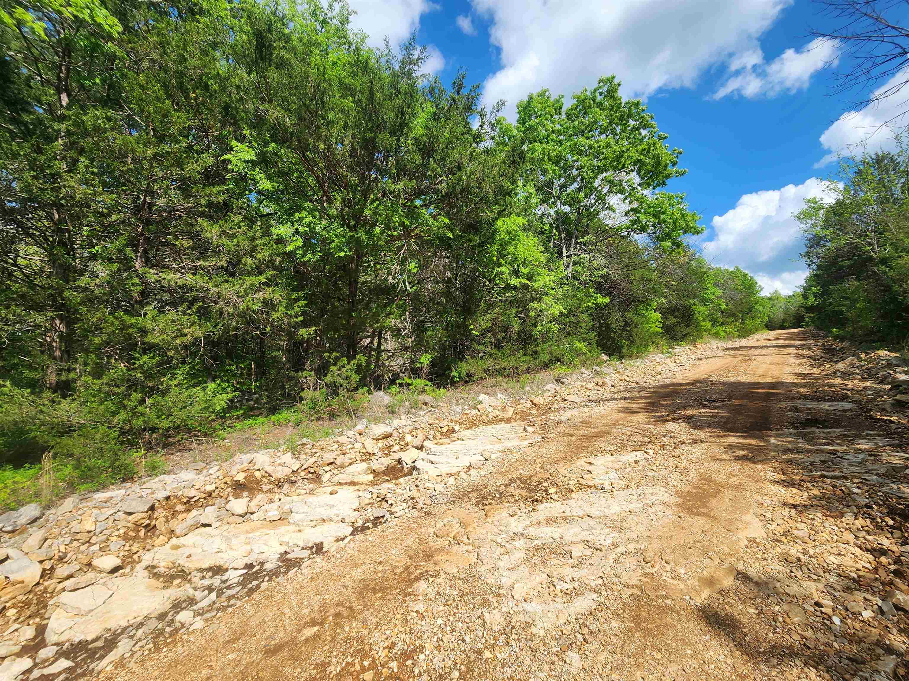 Photo 14 - Vacant Land for sale –   Strawberry Valley   Ash Flat, AR
