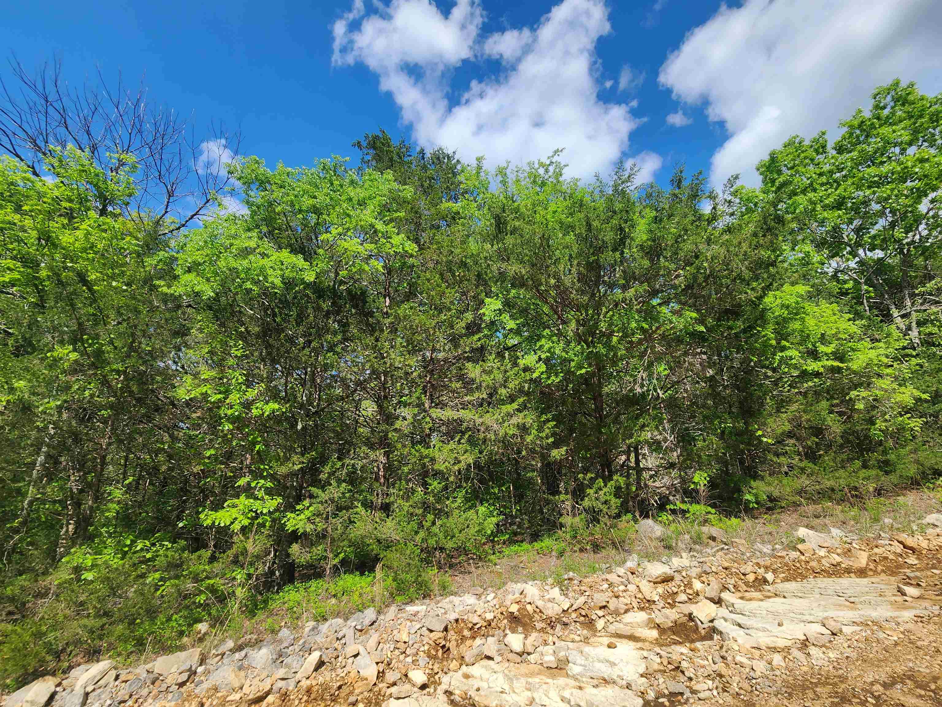 Photo 15 - Vacant Land for sale –   Strawberry Valley   Ash Flat, AR