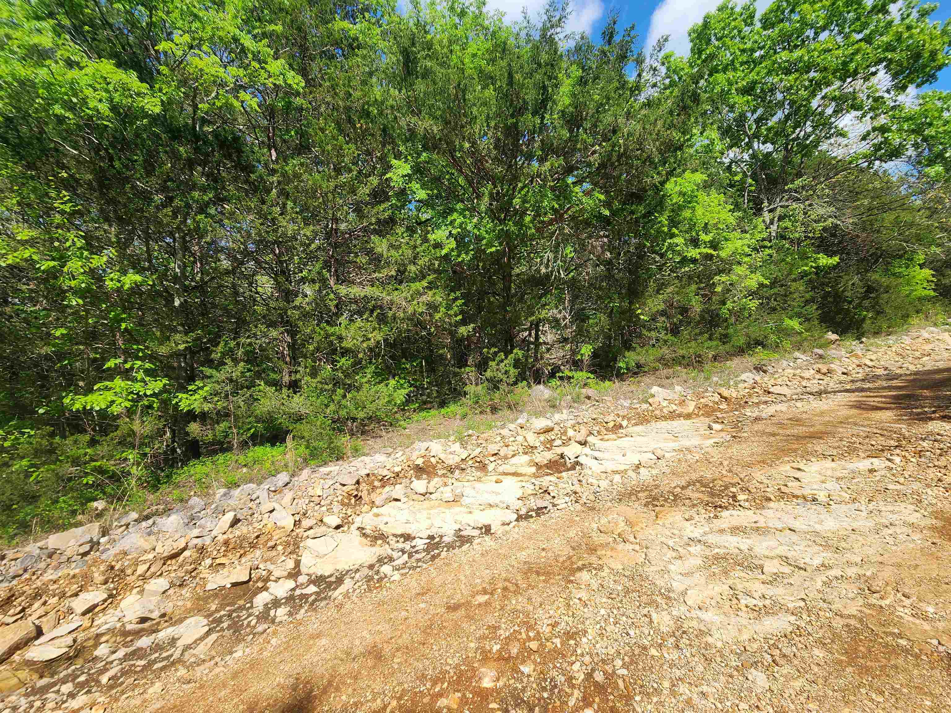 Photo 16 - Vacant Land for sale –   Strawberry Valley   Ash Flat, AR