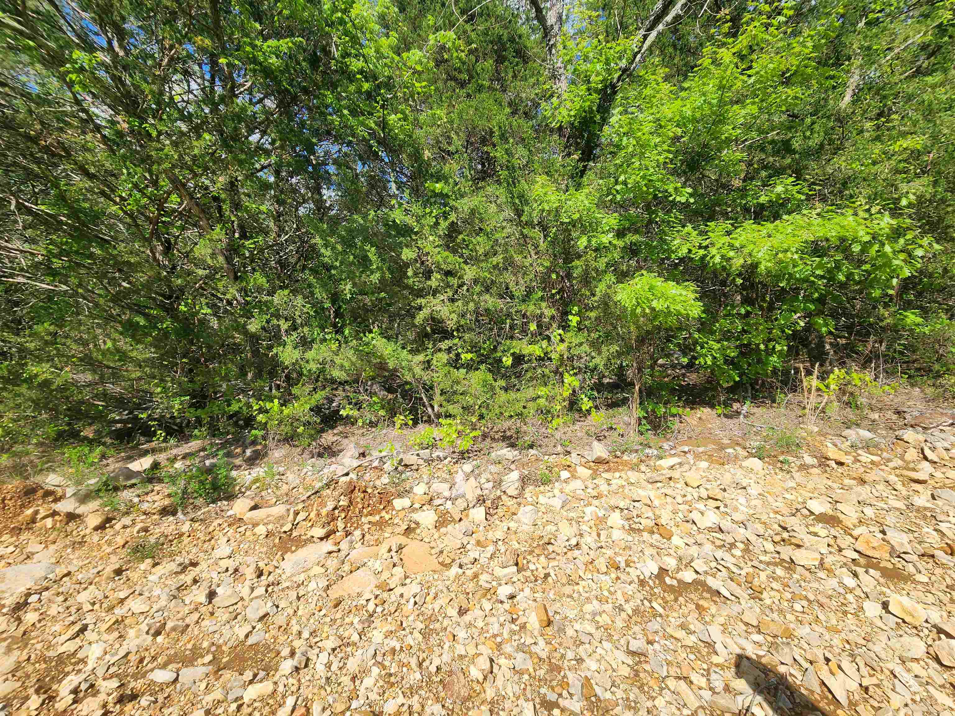 Photo 19 - Vacant Land for sale –   Strawberry Valley   Ash Flat, AR