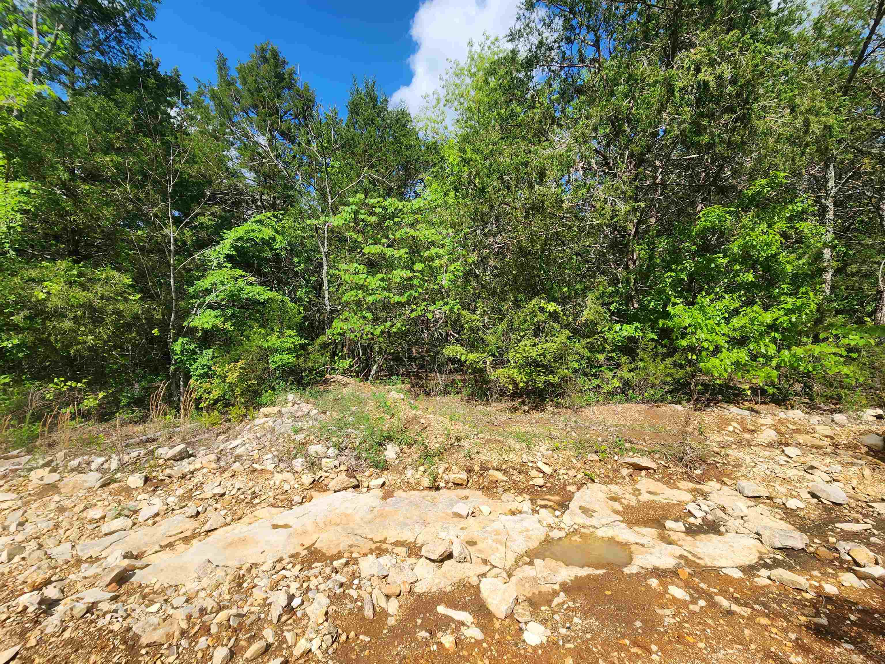 Photo 20 - Vacant Land for sale –   Strawberry Valley   Ash Flat, AR