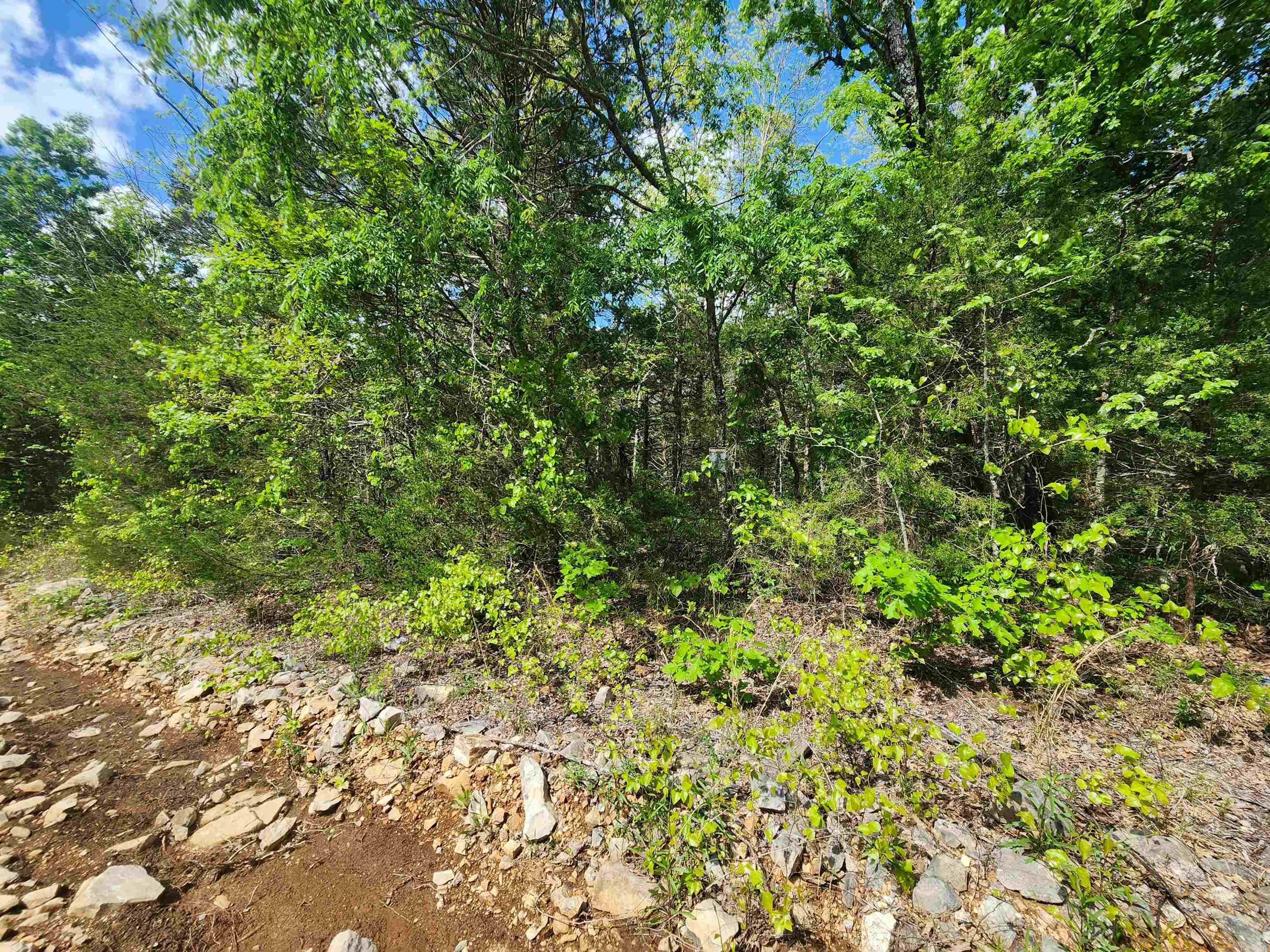 Photo 21 - Vacant Land for sale –   Strawberry Valley   Ash Flat, AR