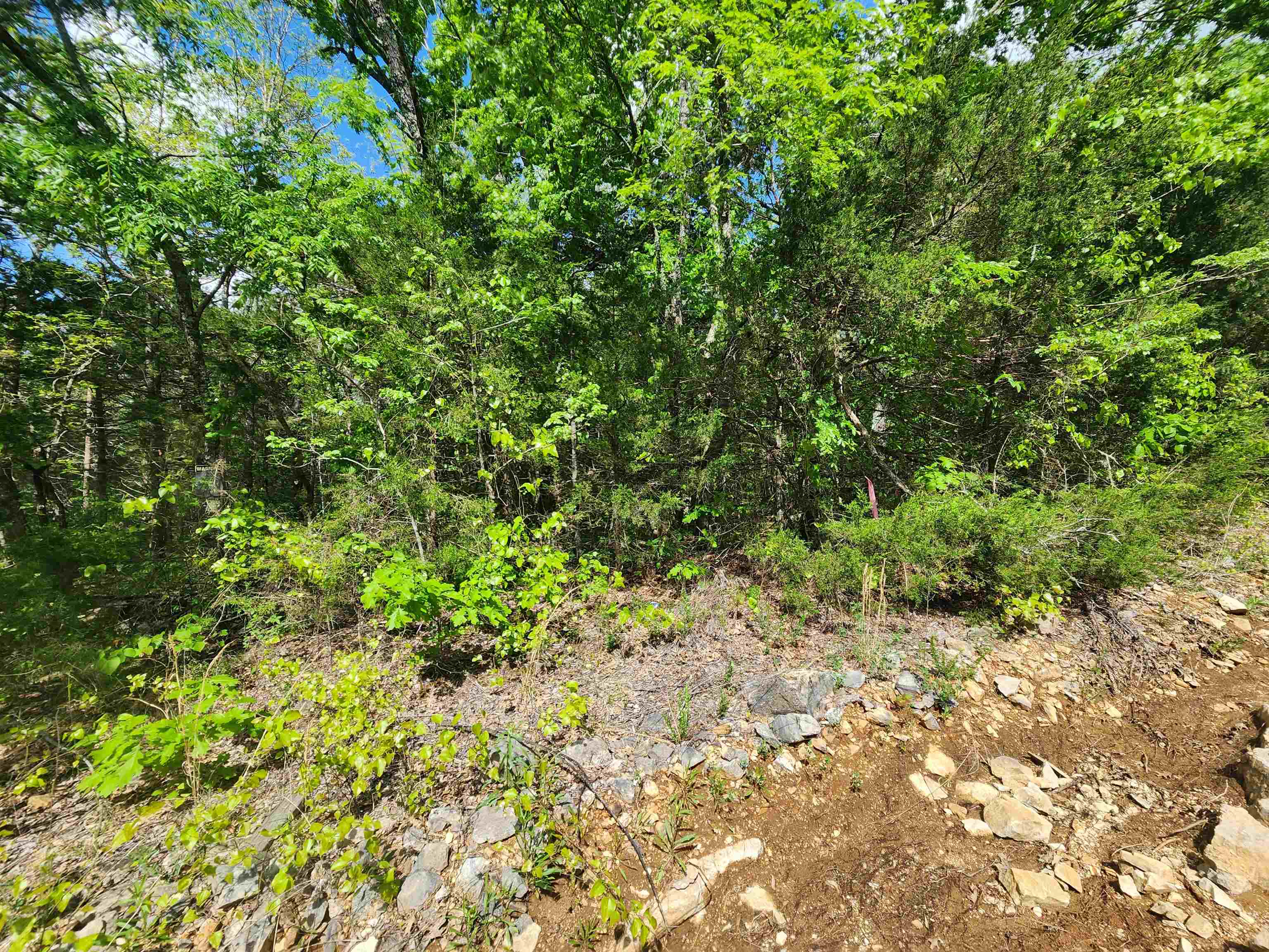 Photo 22 - Vacant Land for sale –   Strawberry Valley   Ash Flat, AR
