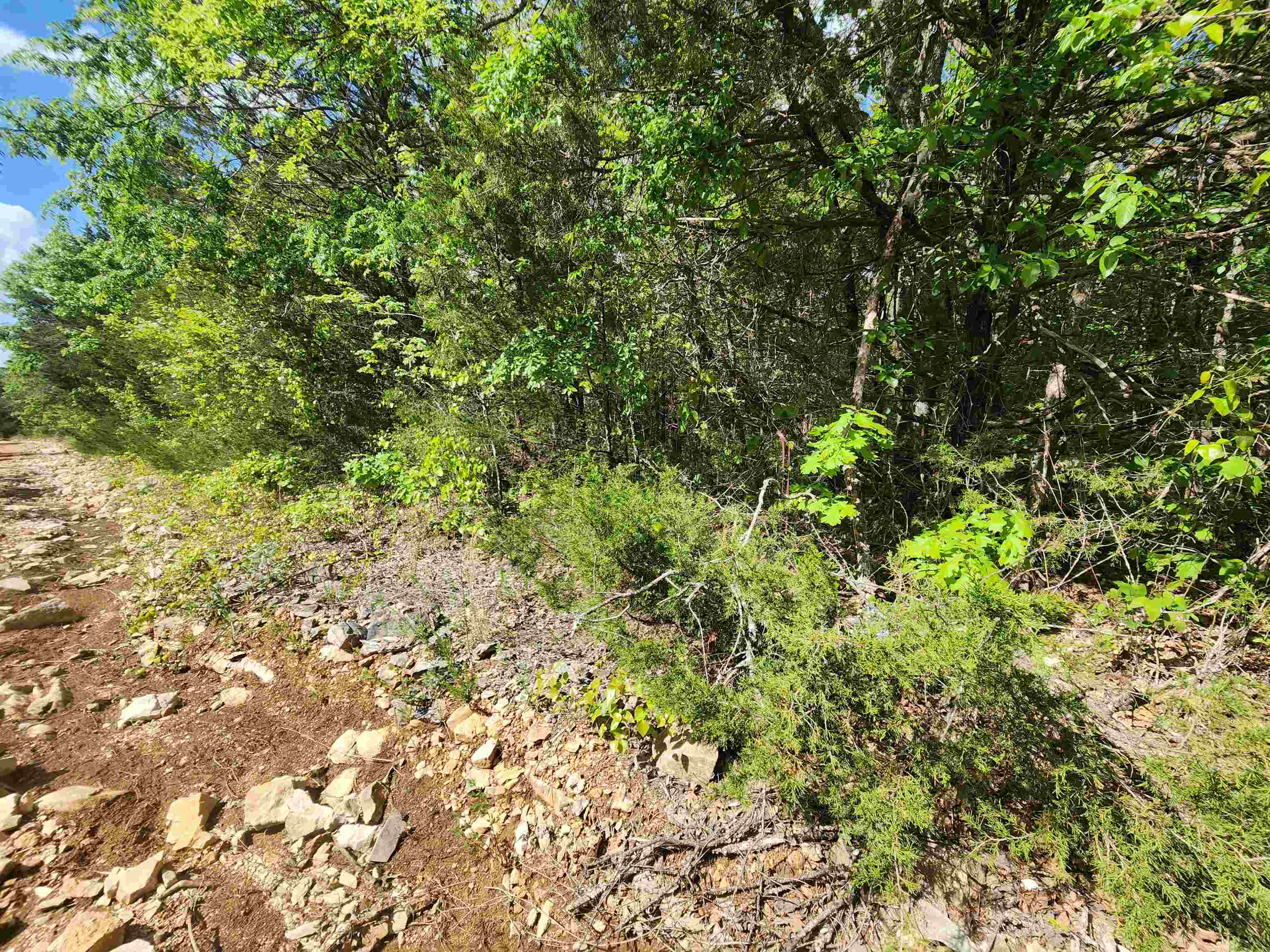 Photo 23 - Vacant Land for sale –   Strawberry Valley   Ash Flat, AR