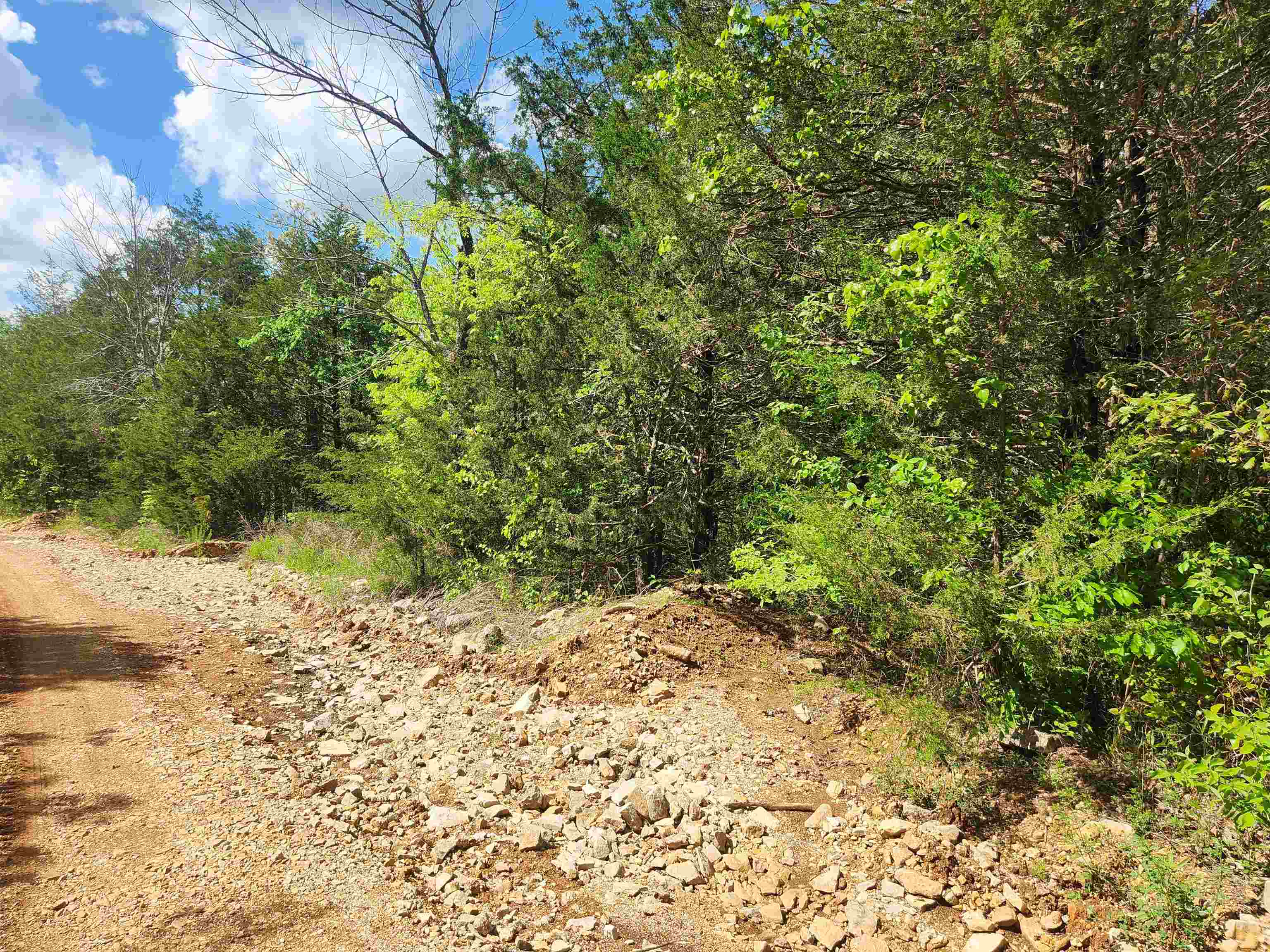 Photo 6 - Vacant Land for sale –   Strawberry Valley   Ash Flat, AR