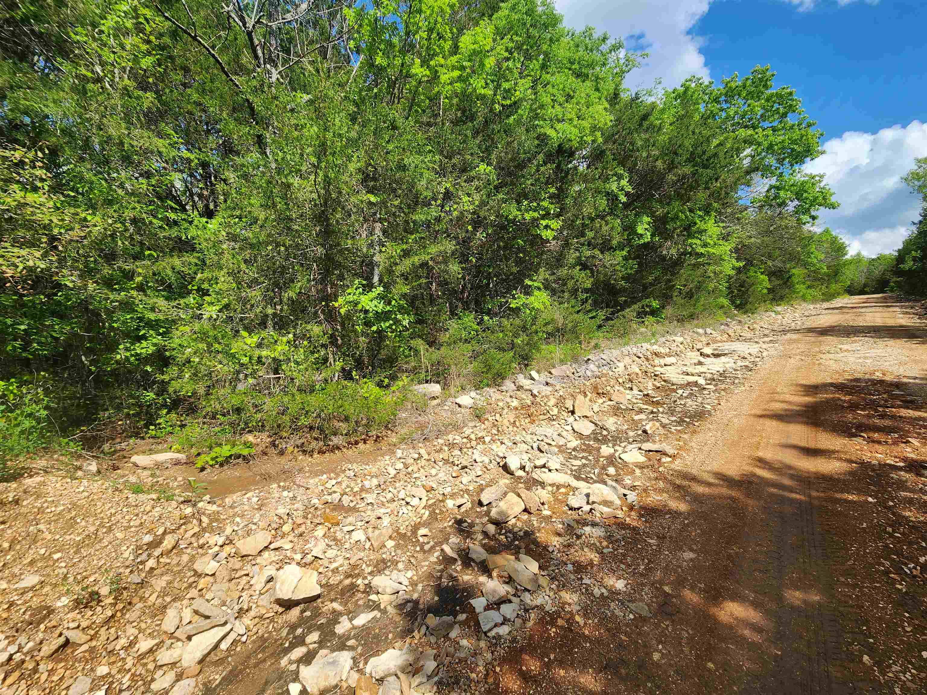 Photo 9 - Vacant Land for sale –   Strawberry Valley   Ash Flat, AR