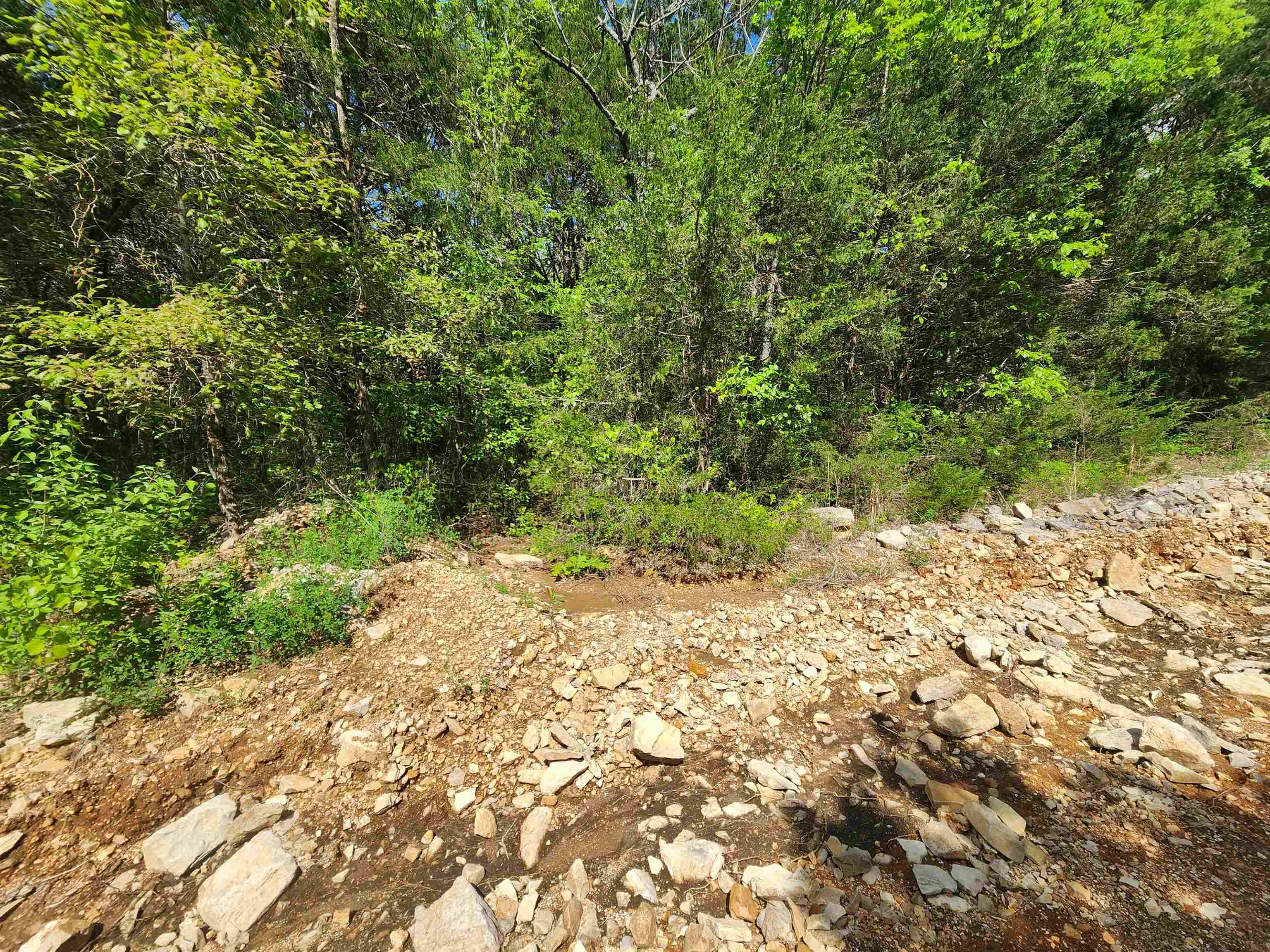 Photo 10 - Vacant Land for sale –   Strawberry Valley   Ash Flat, AR
