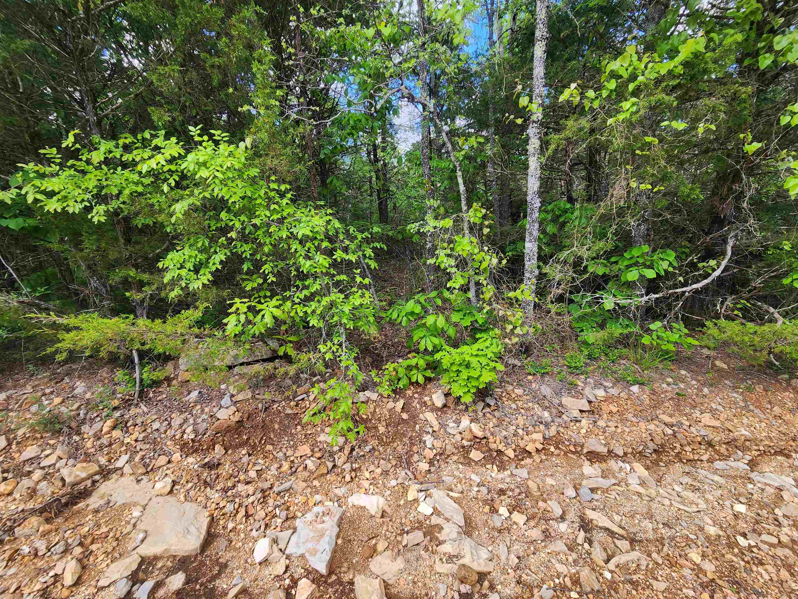 Photo 12 - Vacant Land for sale –   Strawberry Valley   Ash Flat, AR
