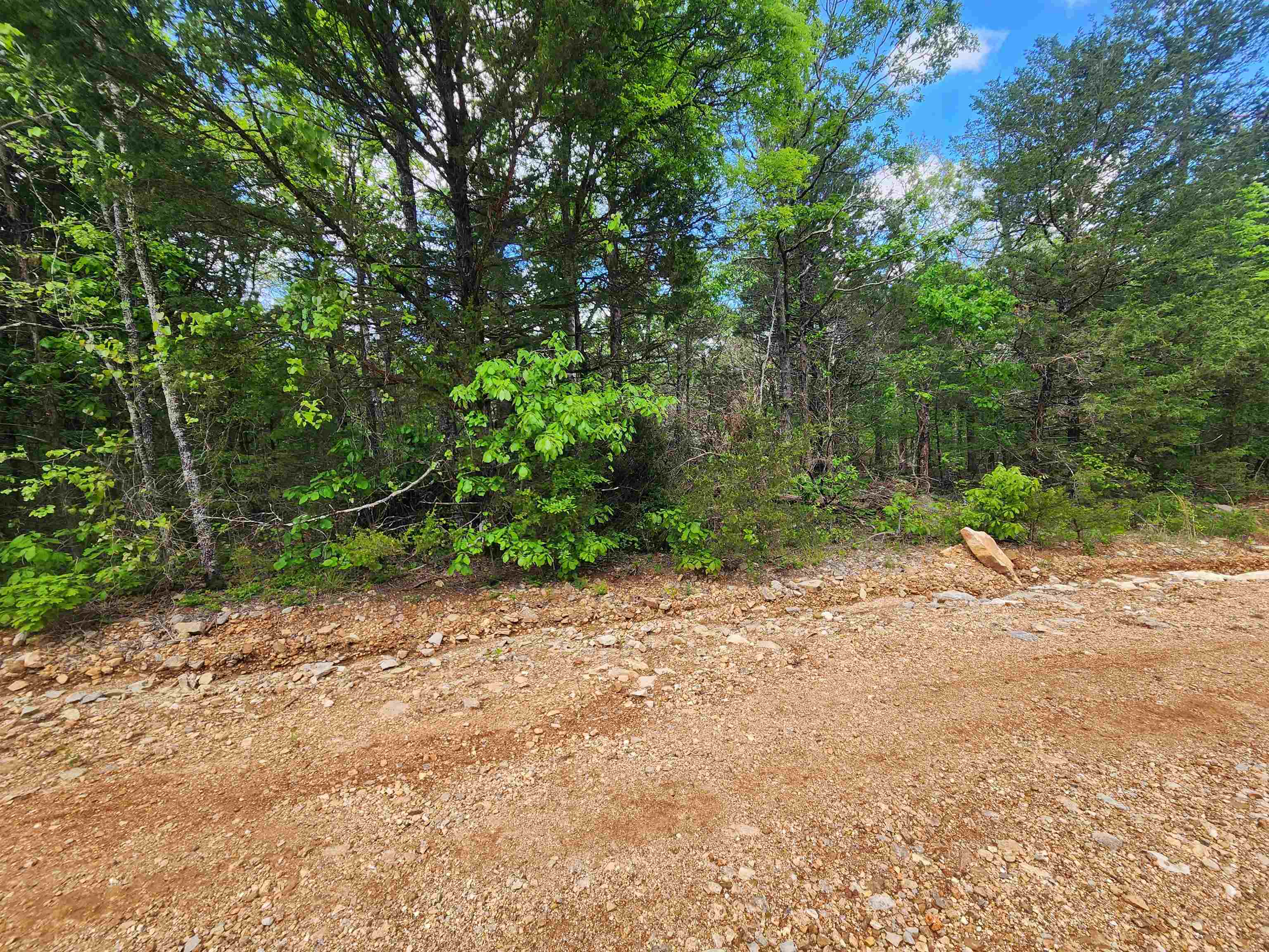 Photo 16 - Vacant Land for sale –   Strawberry Valley   Ash Flat, AR