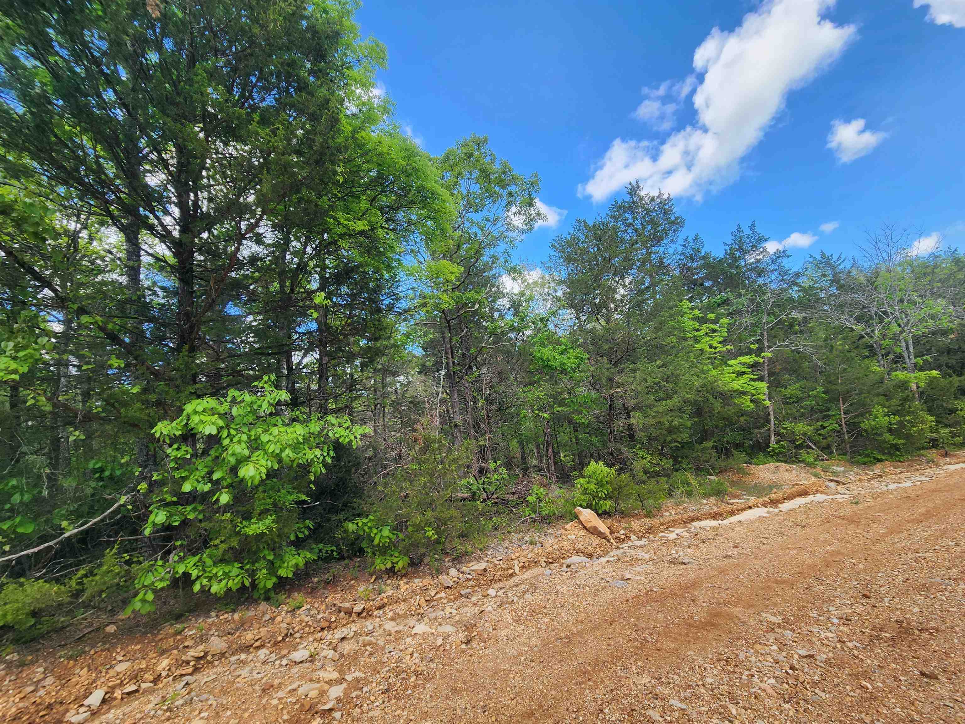 Photo 17 - Vacant Land for sale –   Strawberry Valley   Ash Flat, AR