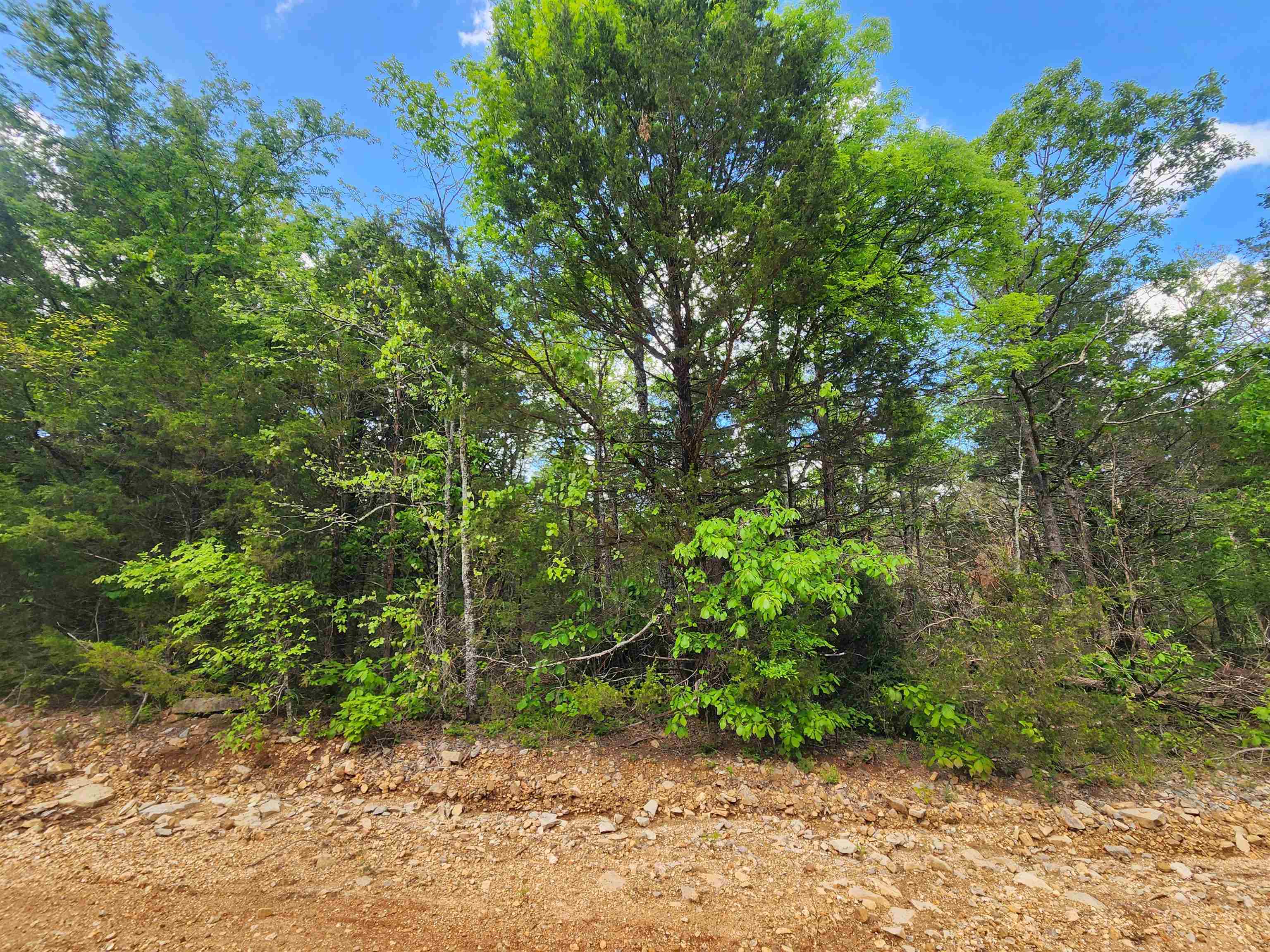 Photo 18 - Vacant Land for sale –   Strawberry Valley   Ash Flat, AR