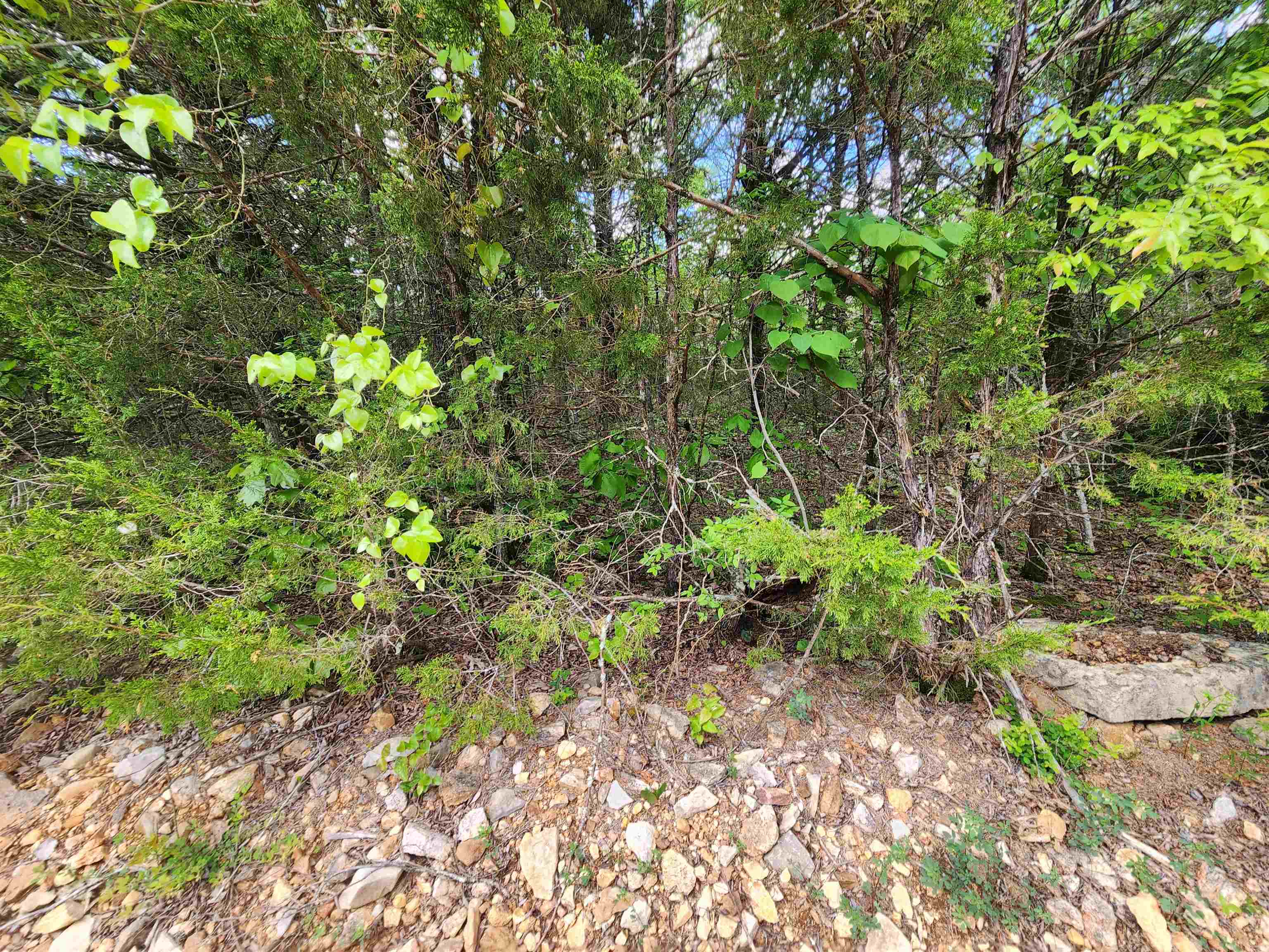 Photo 19 - Vacant Land for sale –   Strawberry Valley   Ash Flat, AR