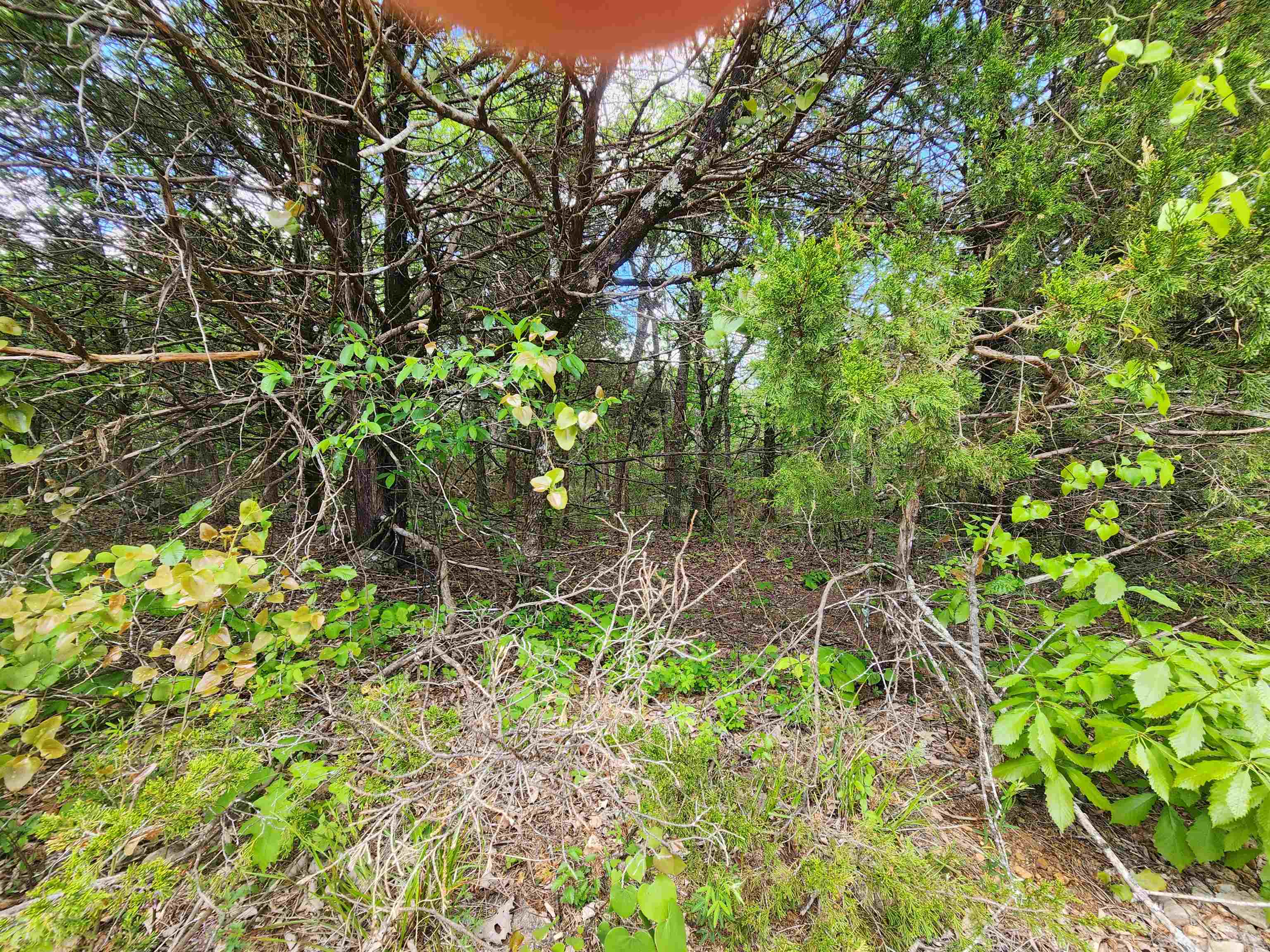 Photo 20 - Vacant Land for sale –   Strawberry Valley   Ash Flat, AR