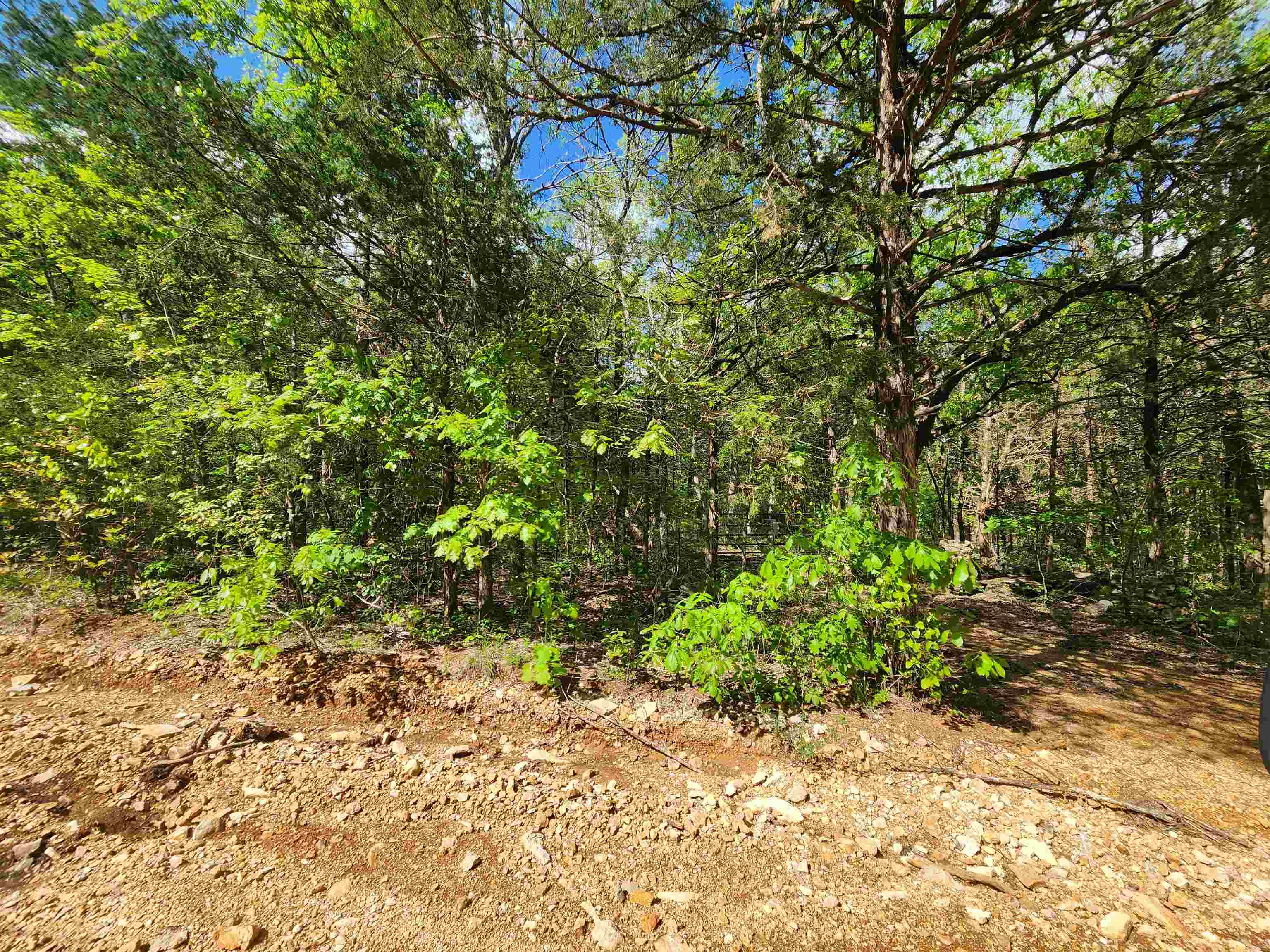 Photo 26 - Vacant Land for sale –   Strawberry Valley   Ash Flat, AR