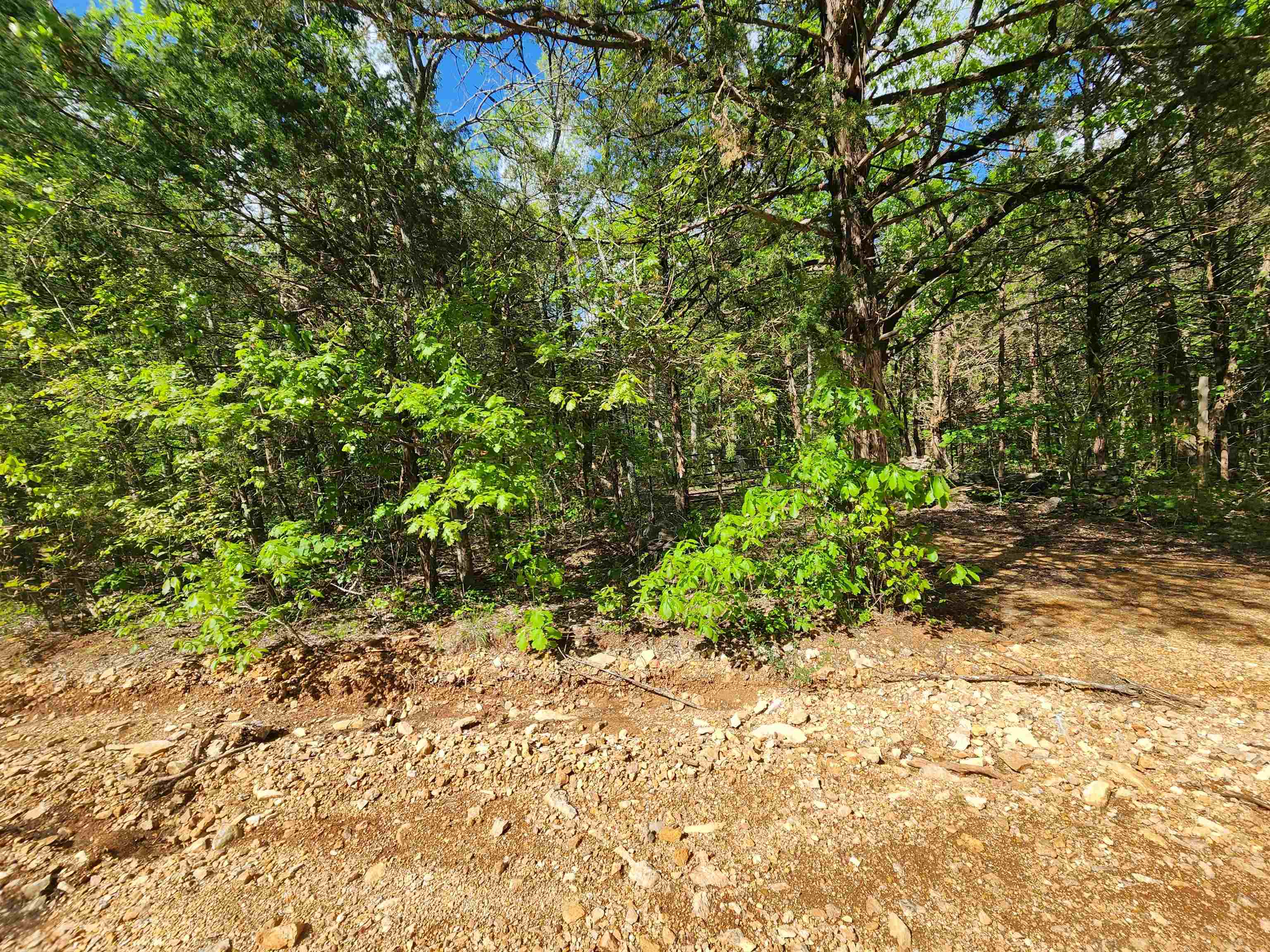 Photo 27 - Vacant Land for sale –   Strawberry Valley   Ash Flat, AR
