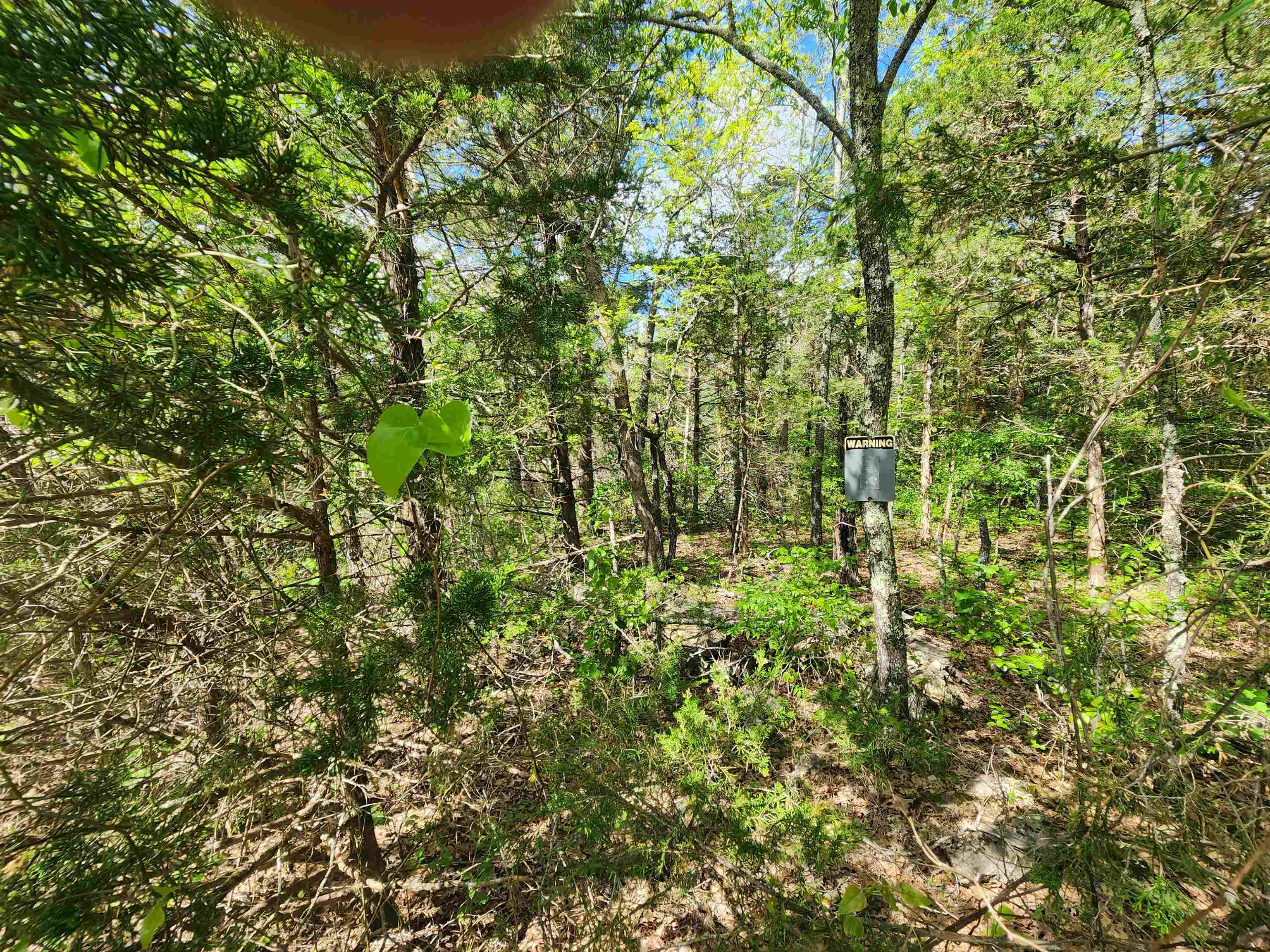Photo 6 - Vacant Land for sale –   Strawberry Valley   Ash Flat, AR
