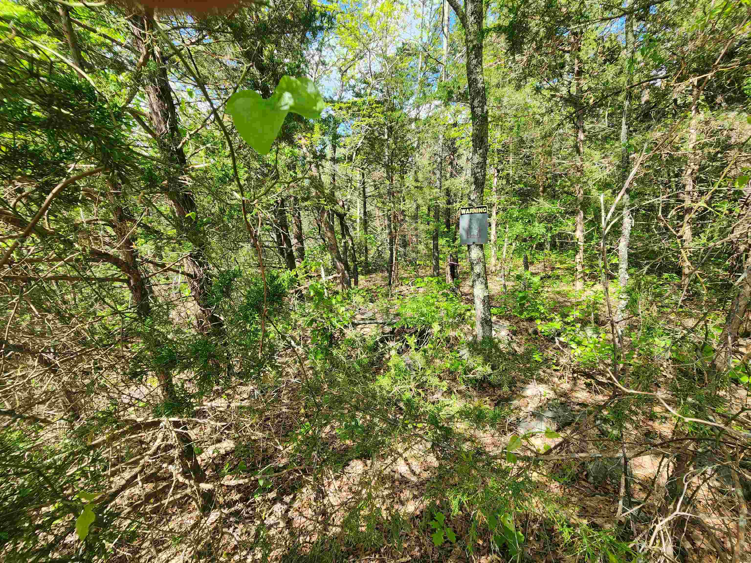 Photo 7 - Vacant Land for sale –   Strawberry Valley   Ash Flat, AR