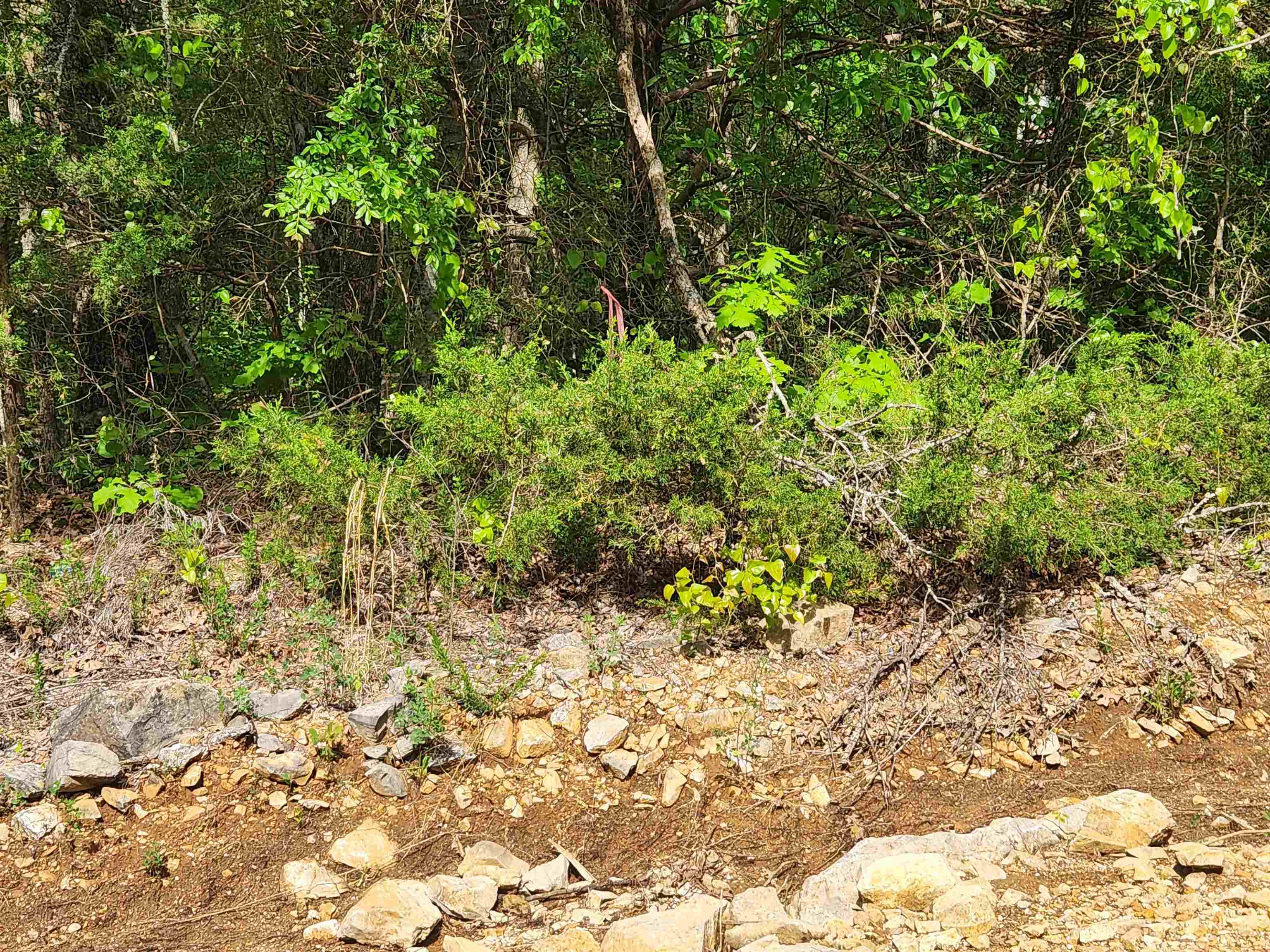 Photo 9 - Vacant Land for sale –   Strawberry Valley   Ash Flat, AR