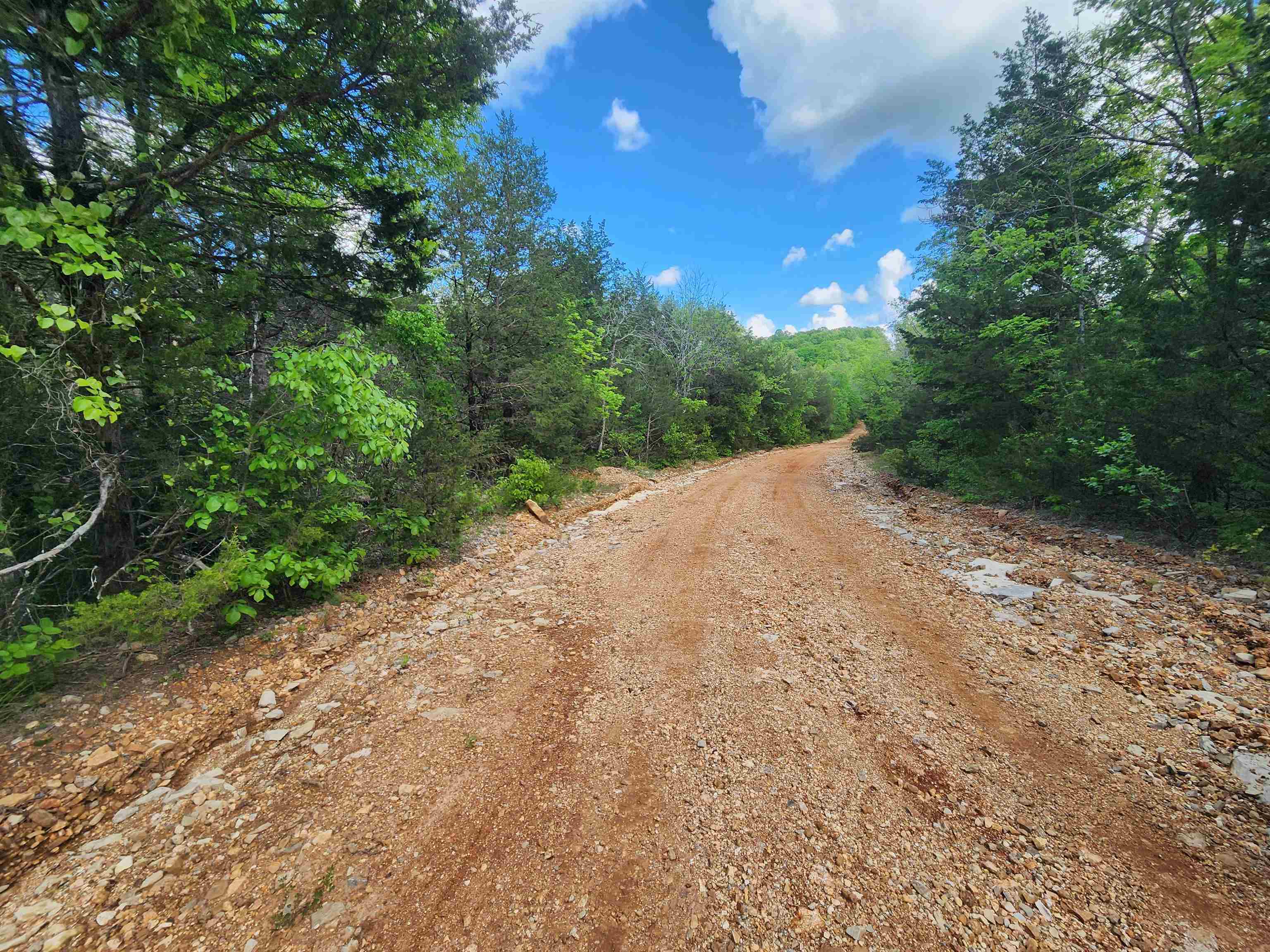 Photo 10 - Vacant Land for sale –   Strawberry Valley   Ash Flat, AR