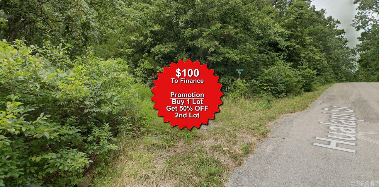 Vacant Land for sale – Lot 1  Salinar   Cherokee Village, AR