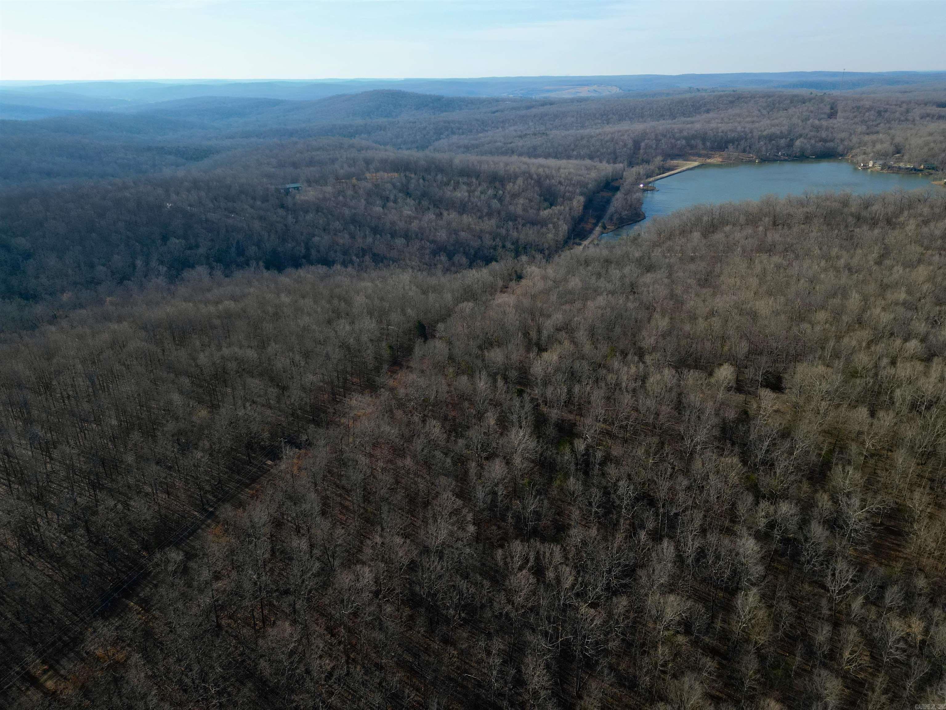 Photo 2 - Vacant Land for sale – TBD  Newman Trail   Williford, AR