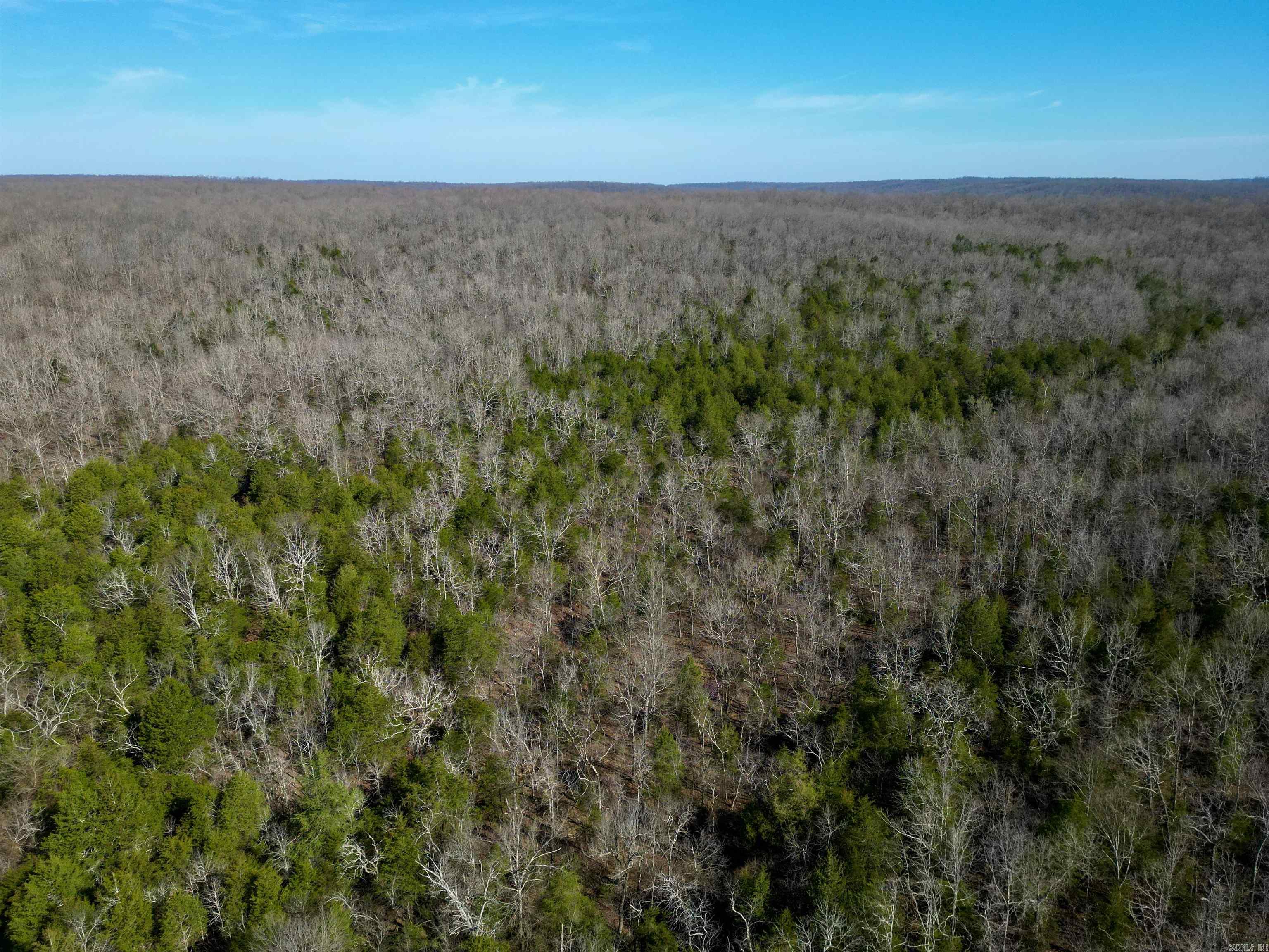 Photo 11 - Vacant Land for sale – TBD  Newman Trail   Williford, AR