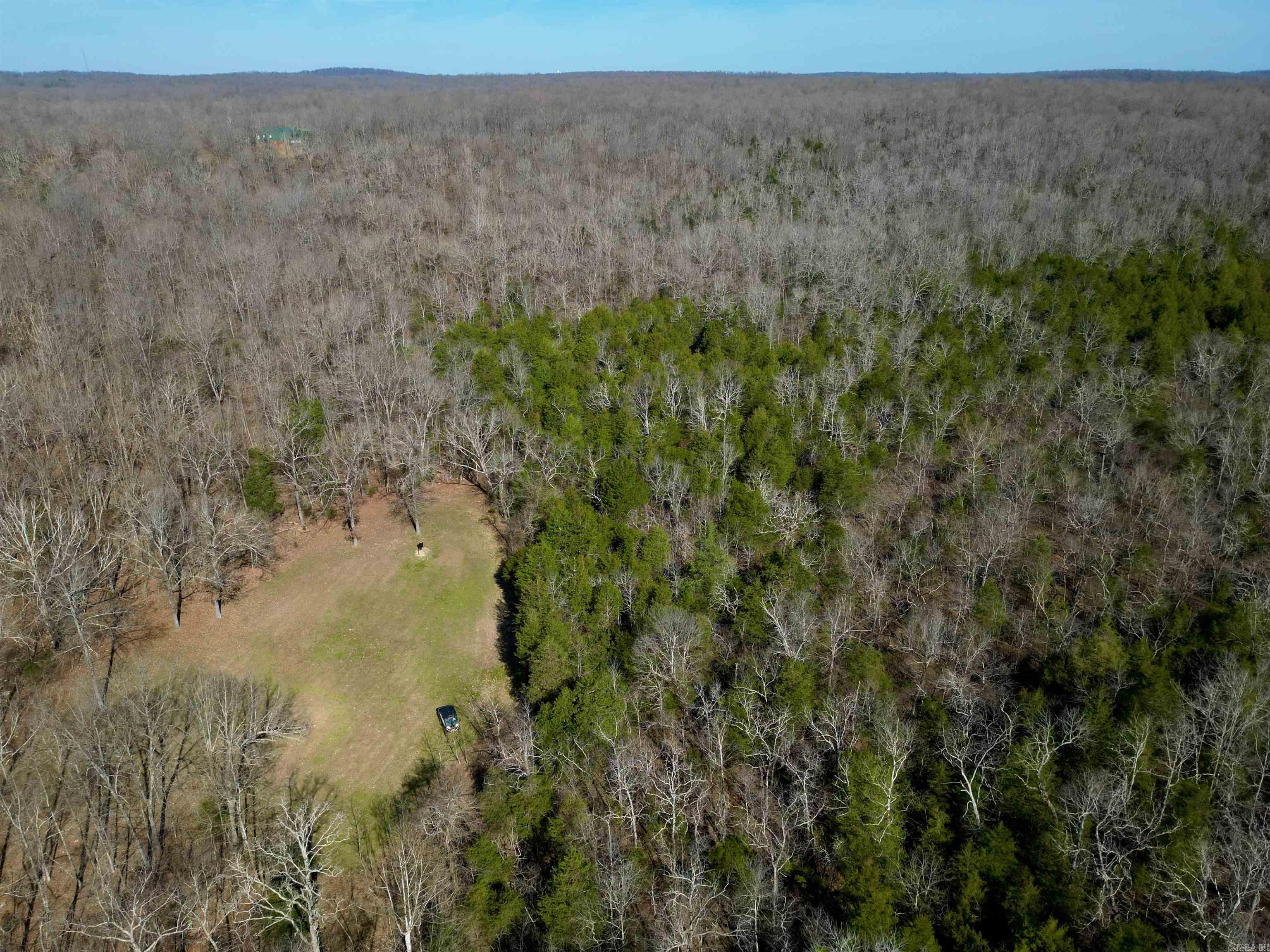 Photo 12 - Vacant Land for sale – TBD  Newman Trail   Williford, AR
