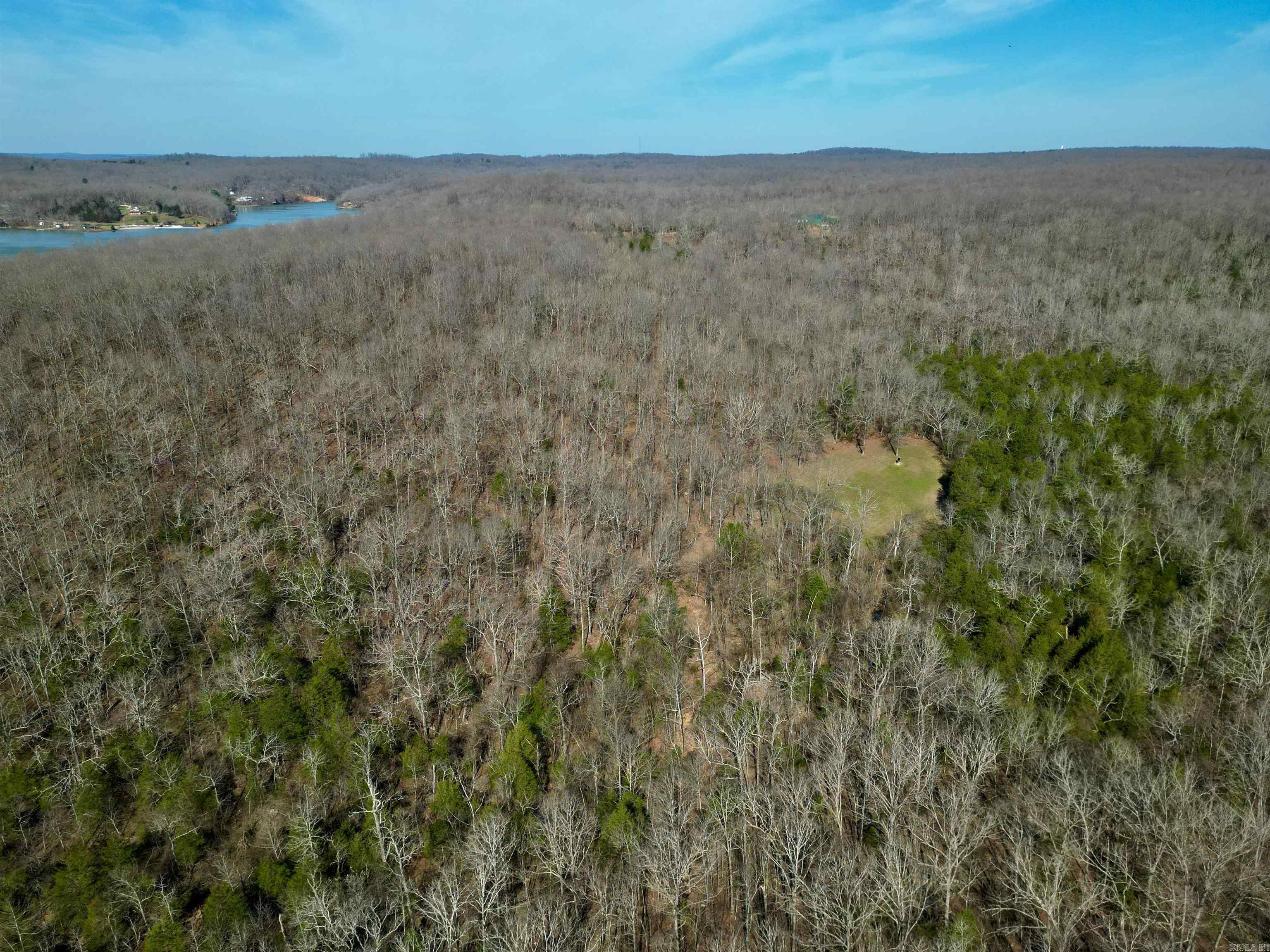 Photo 13 - Vacant Land for sale – TBD  Newman Trail   Williford, AR