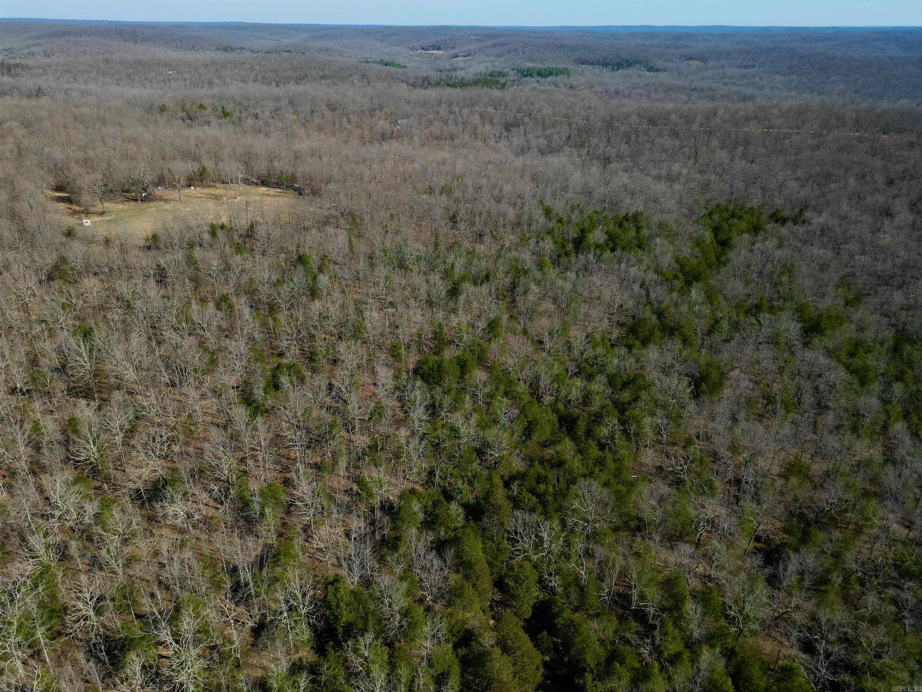 Photo 14 - Vacant Land for sale – TBD  Newman Trail   Williford, AR