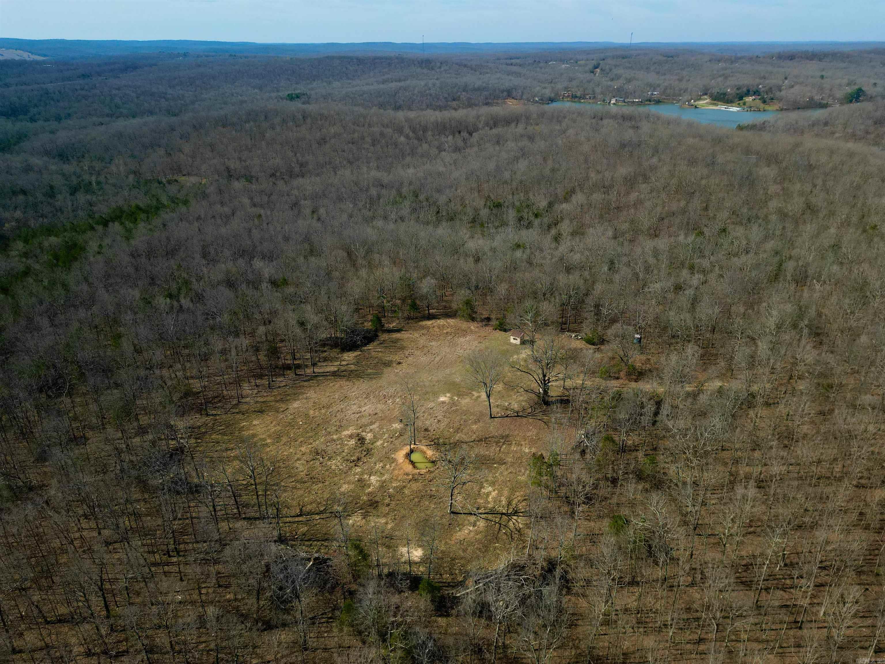 Photo 15 - Vacant Land for sale – TBD  Newman Trail   Williford, AR